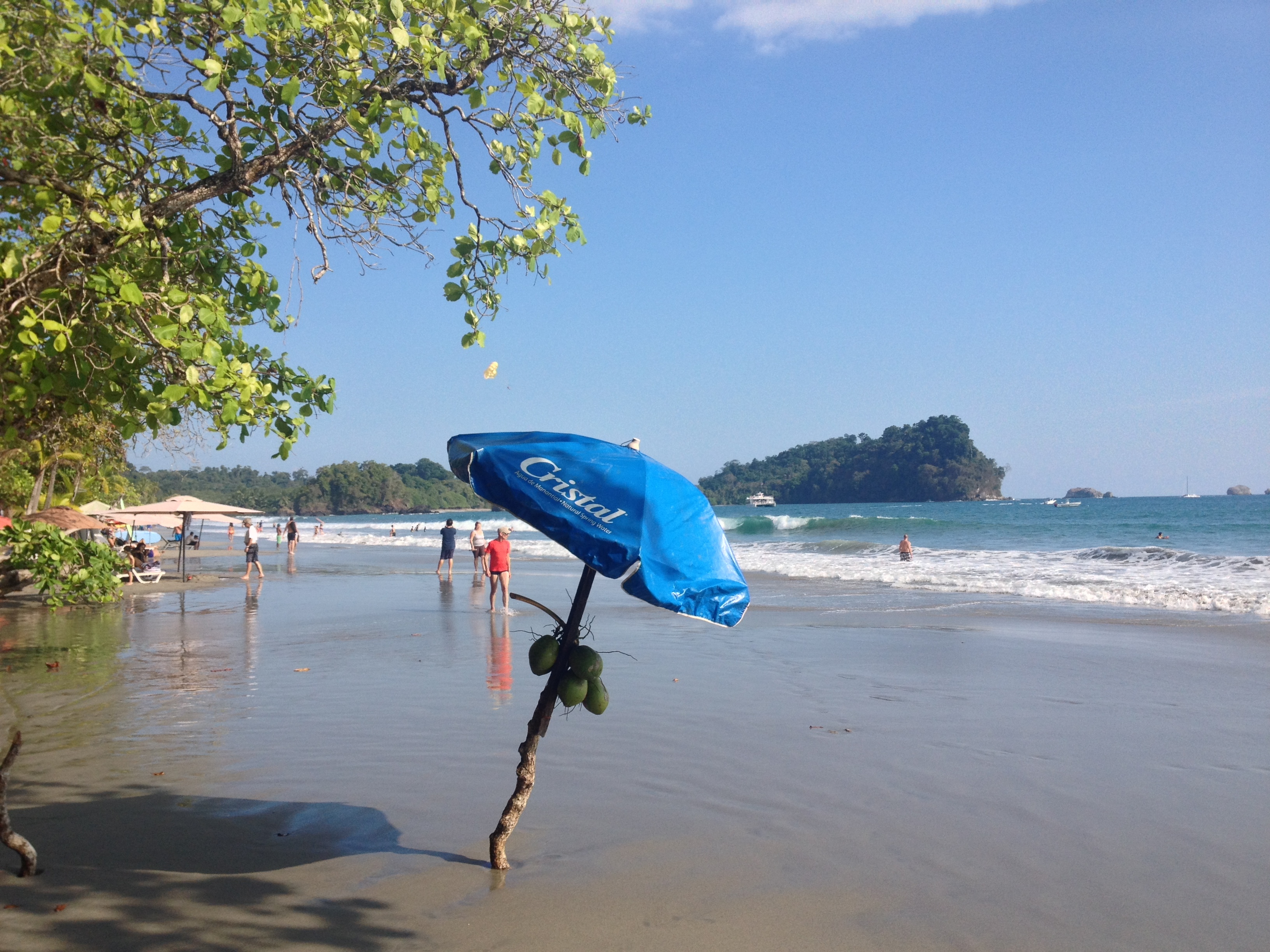 Picture Costa Rica Manuel Antonio 2015-03 15 - Discovery Manuel Antonio