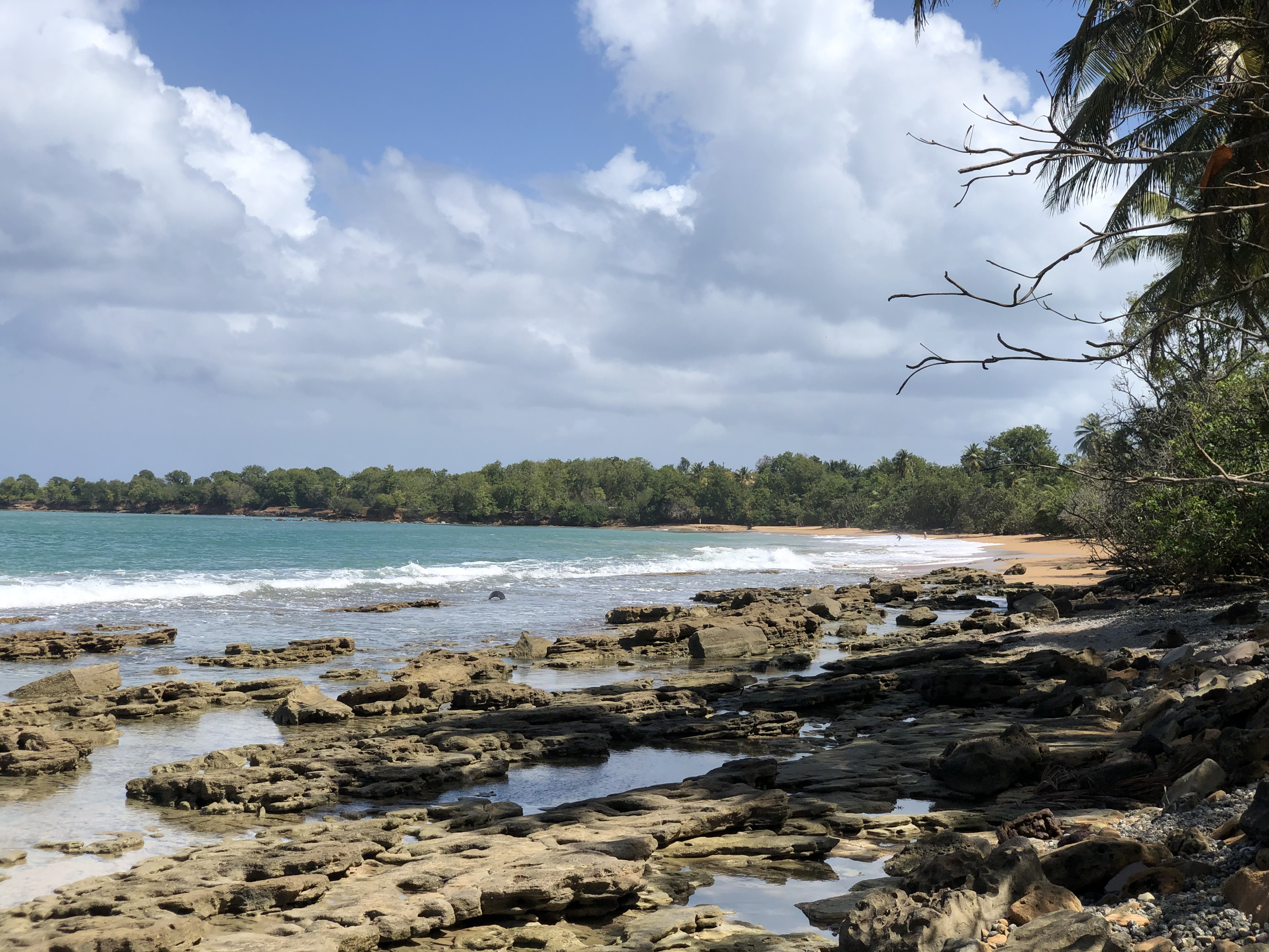 Picture Guadeloupe Clugny Beach 2021-02 14 - Center Clugny Beach