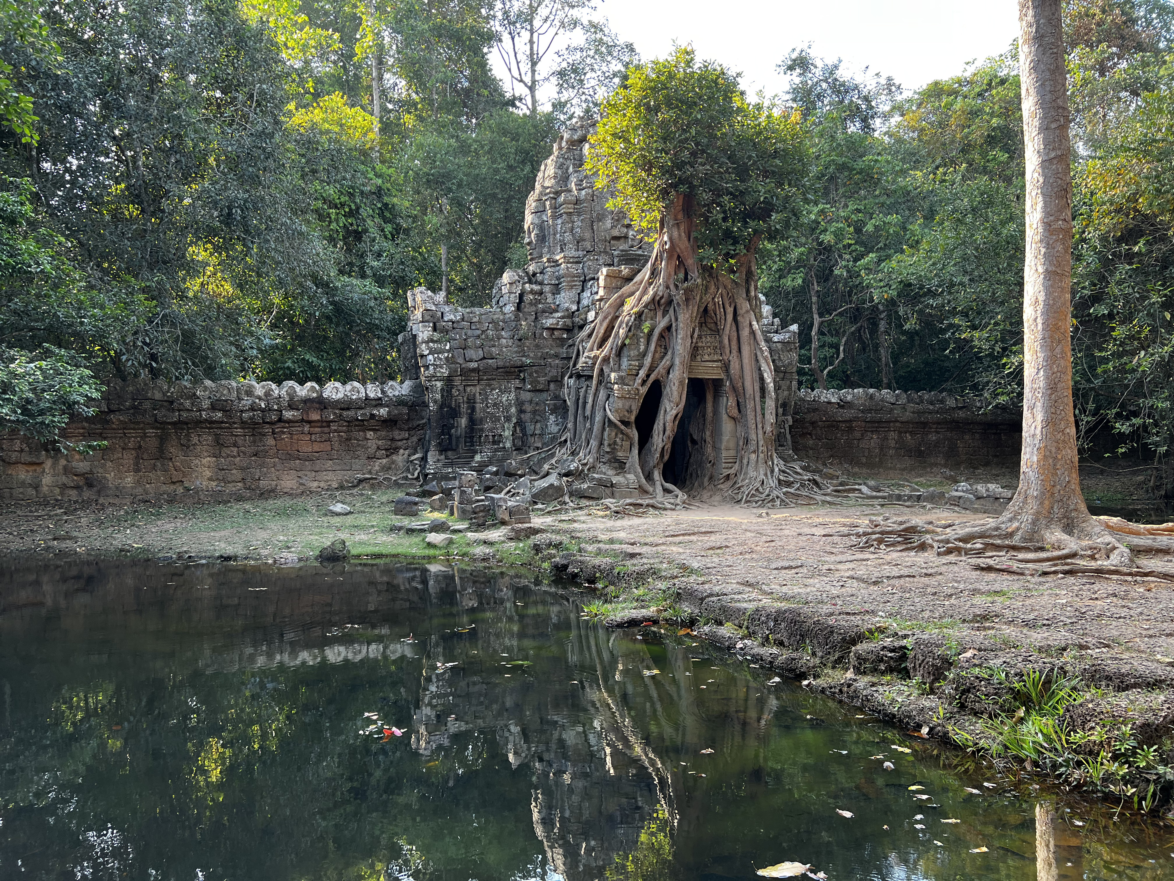 Picture Cambodia Siem Reap Ta Som 2023-01 46 - Discovery Ta Som