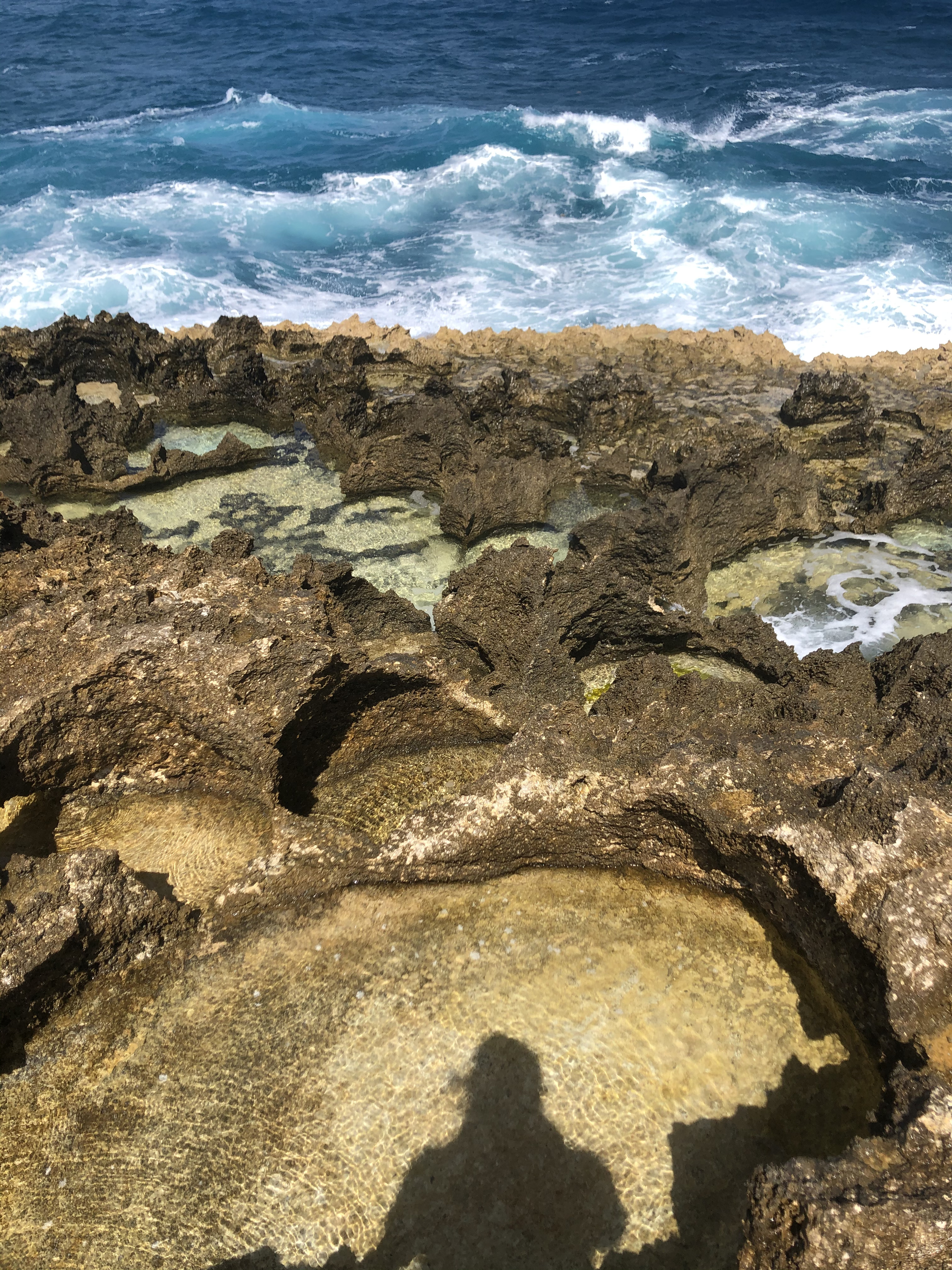 Picture Guadeloupe Castle Point 2021-02 180 - History Castle Point