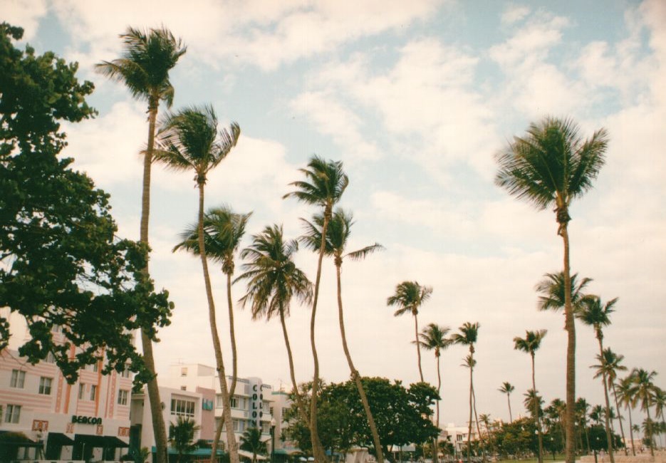 Picture United States Miami Beach 1991-11 10 - Around Miami Beach