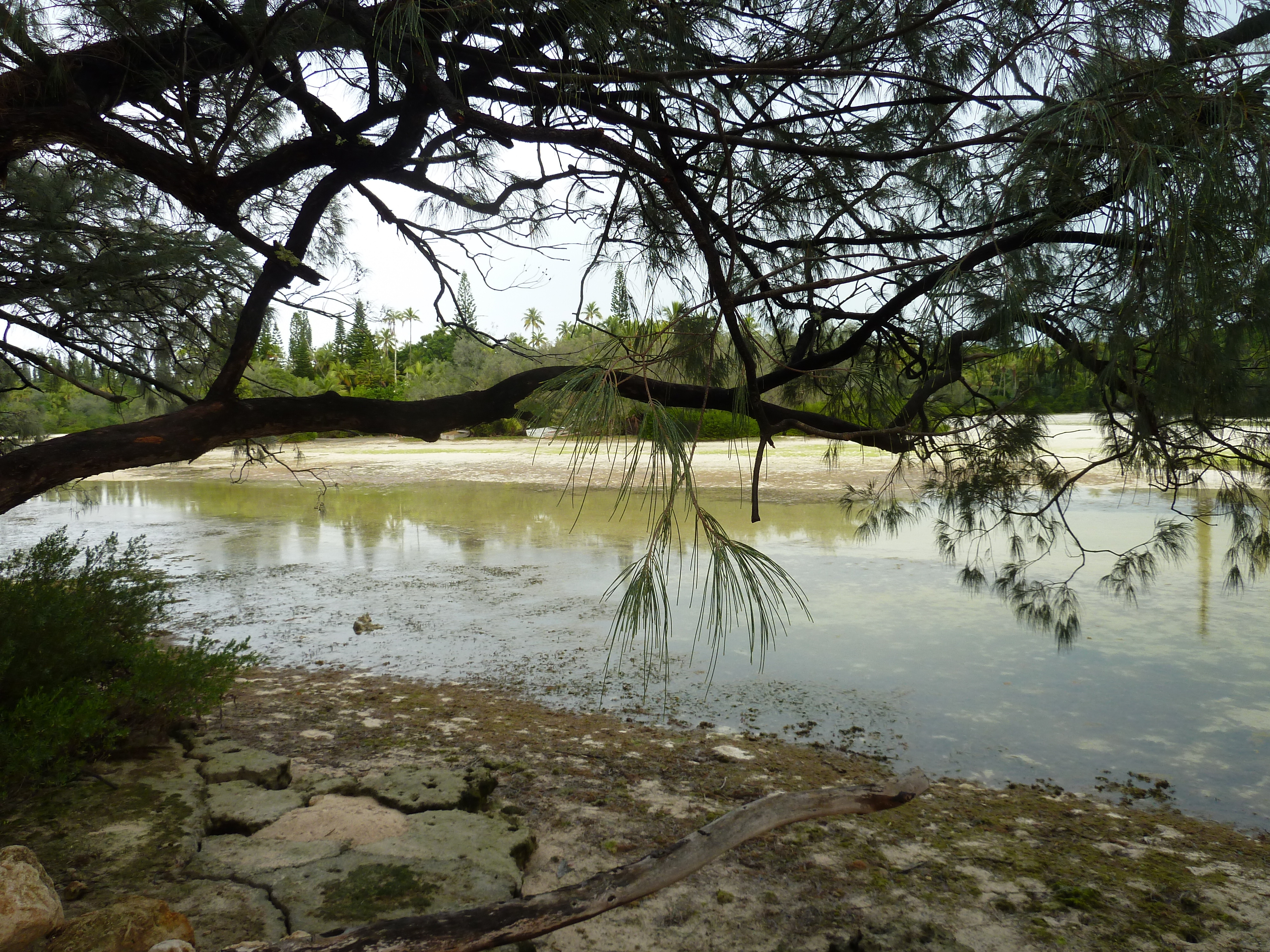 Picture New Caledonia Ile des pins Oro Bay 2010-05 106 - Center Oro Bay