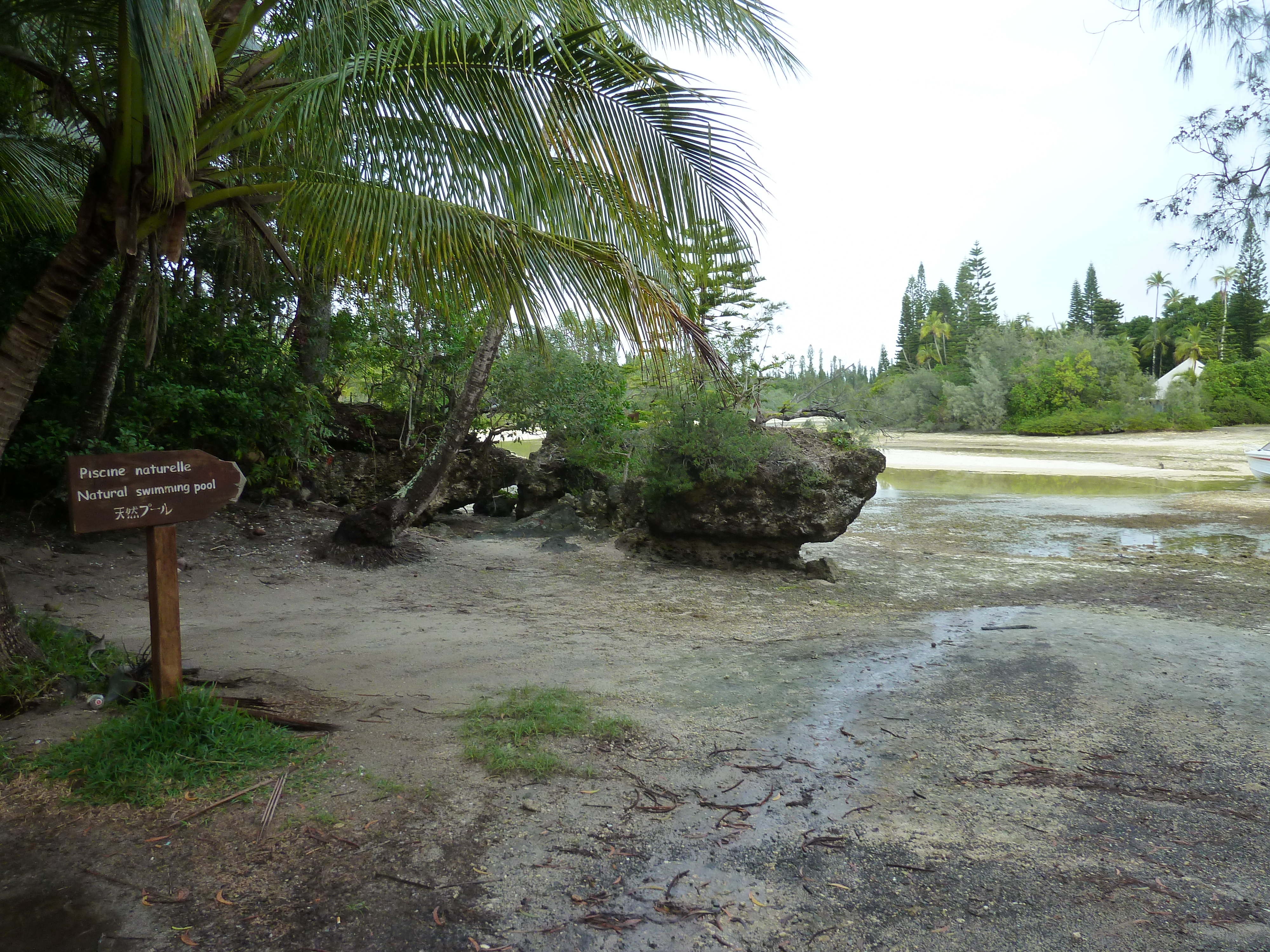 Picture New Caledonia Ile des pins Oro Bay 2010-05 103 - Tour Oro Bay