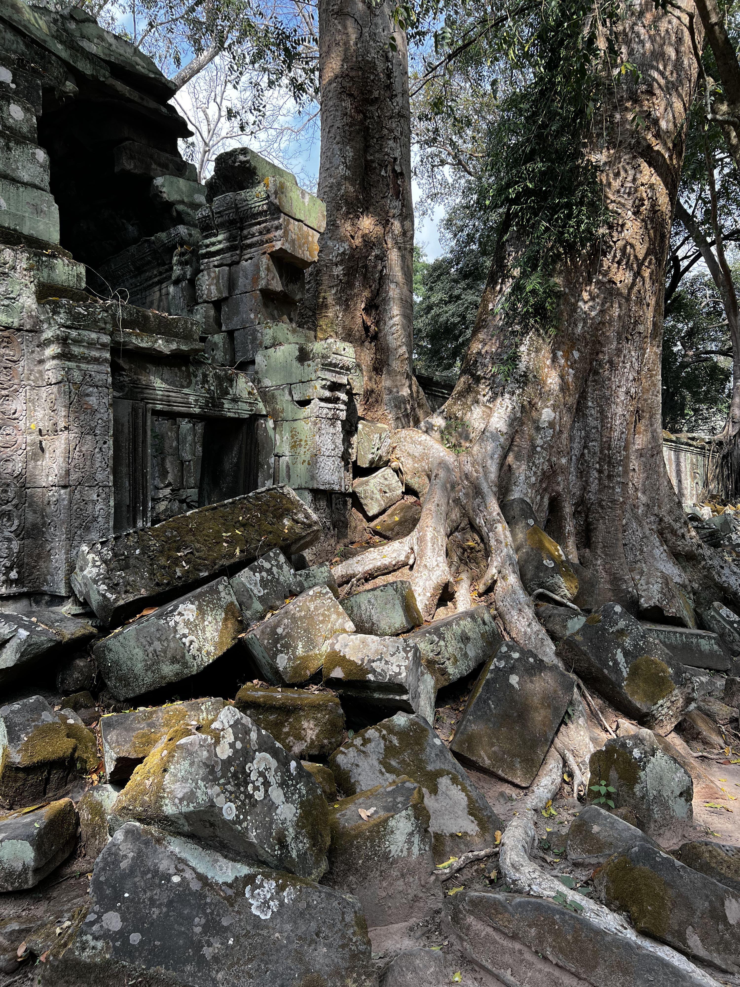 Picture Cambodia Siem Reap Ta Prohm 2023-01 98 - Around Ta Prohm