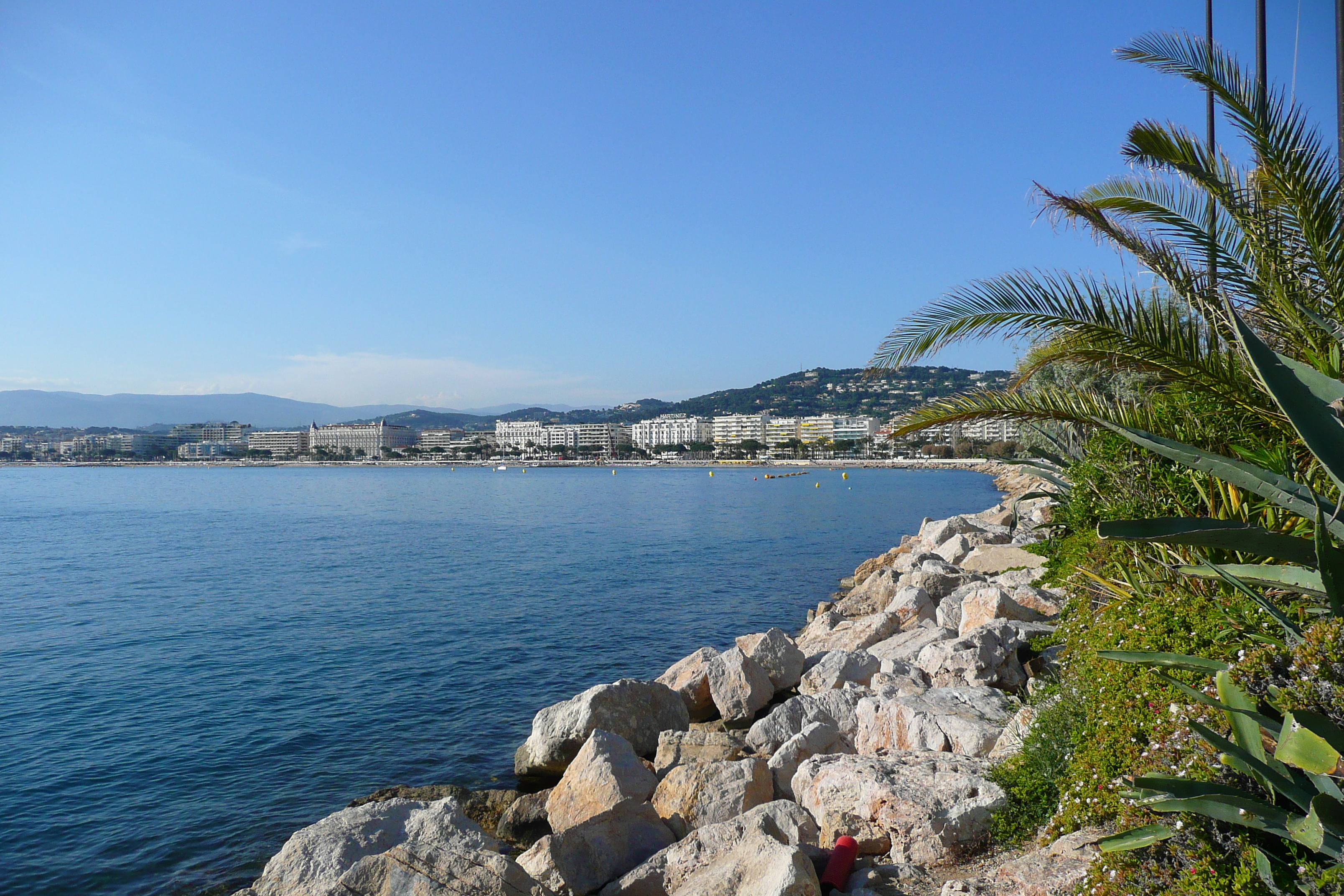 Picture France Cannes Port Pierre Canto 2008-05 74 - Journey Port Pierre Canto