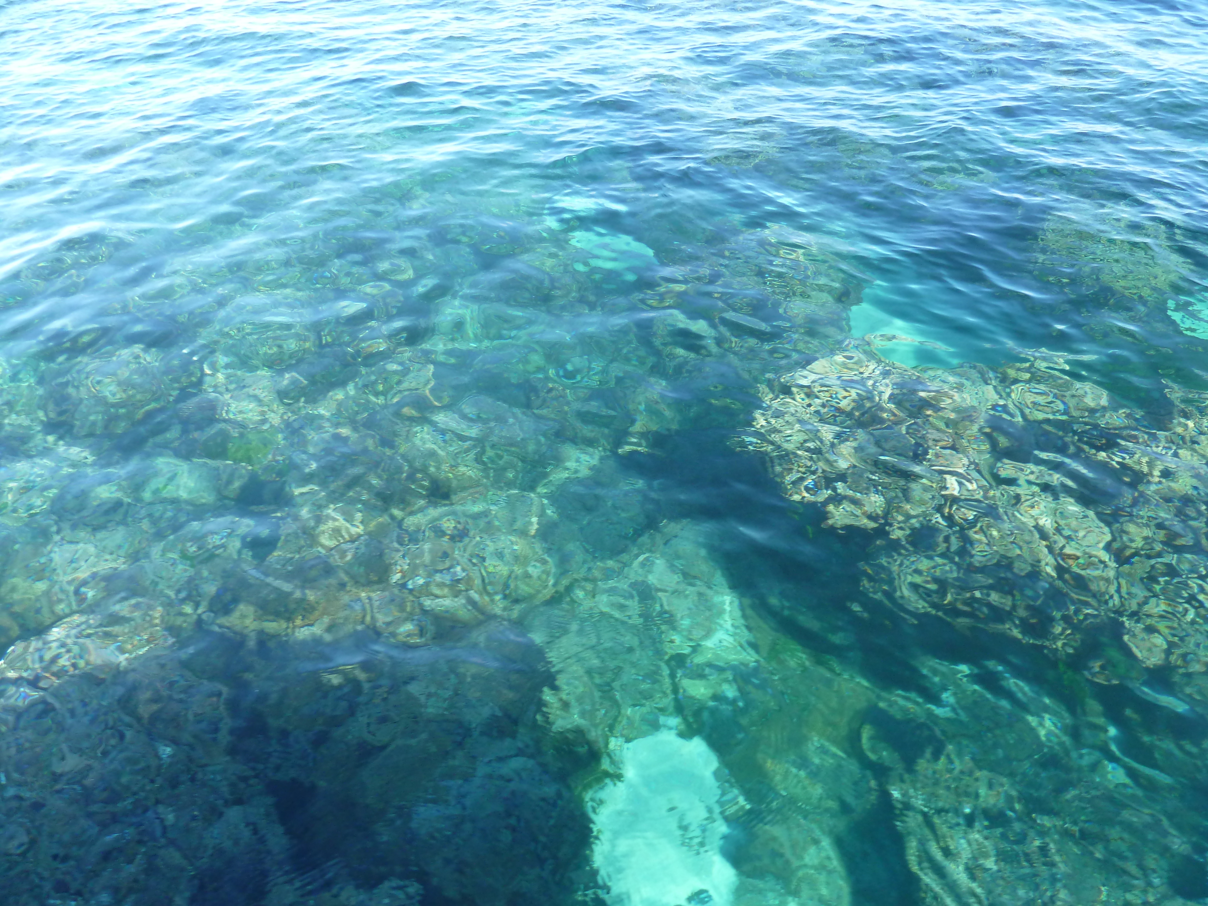 Picture Fiji Castaway Island 2010-05 63 - Discovery Castaway Island