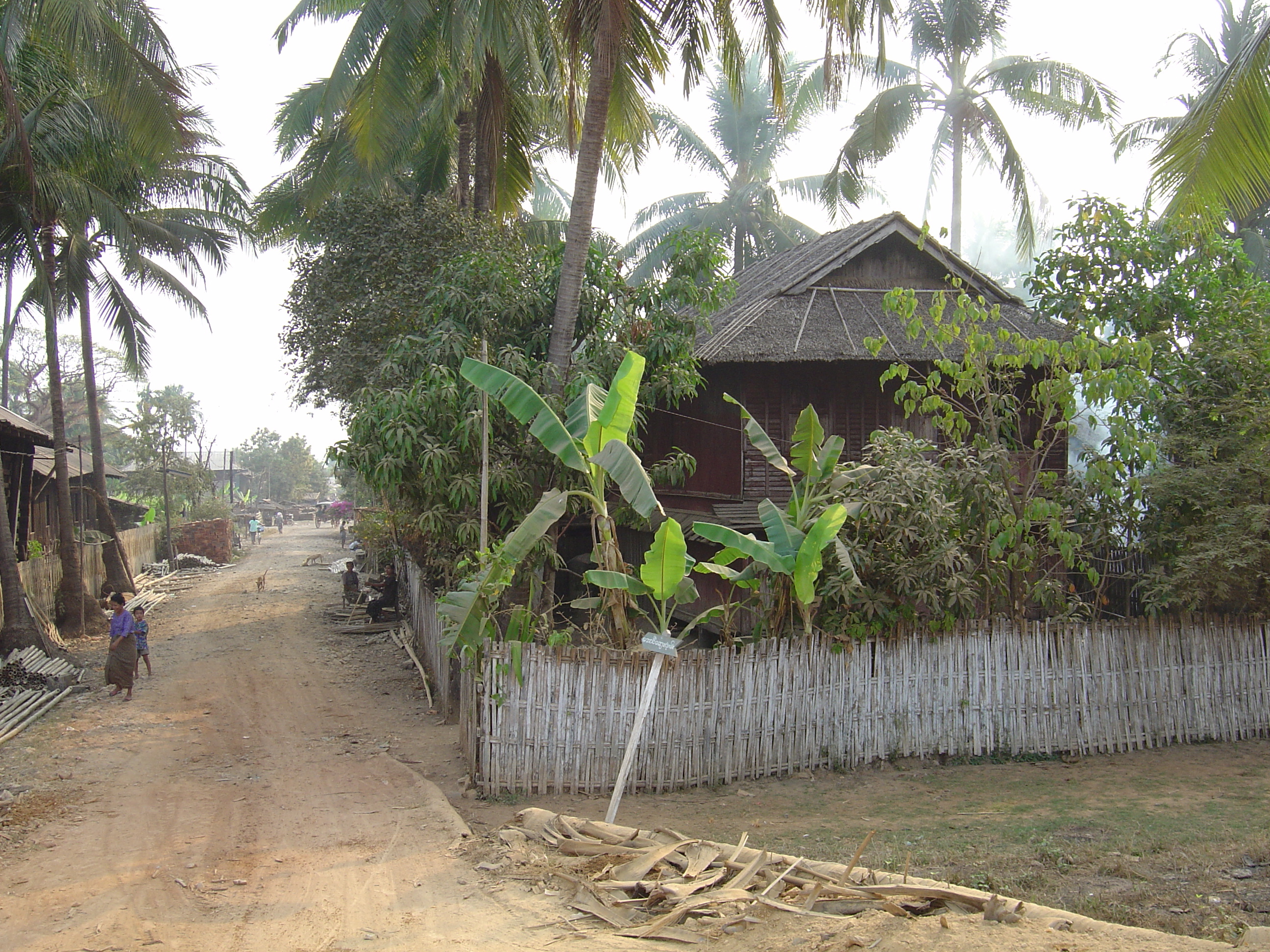 Picture Myanmar Dawei (TAVOY) 2005-01 109 - Tours Dawei (TAVOY)