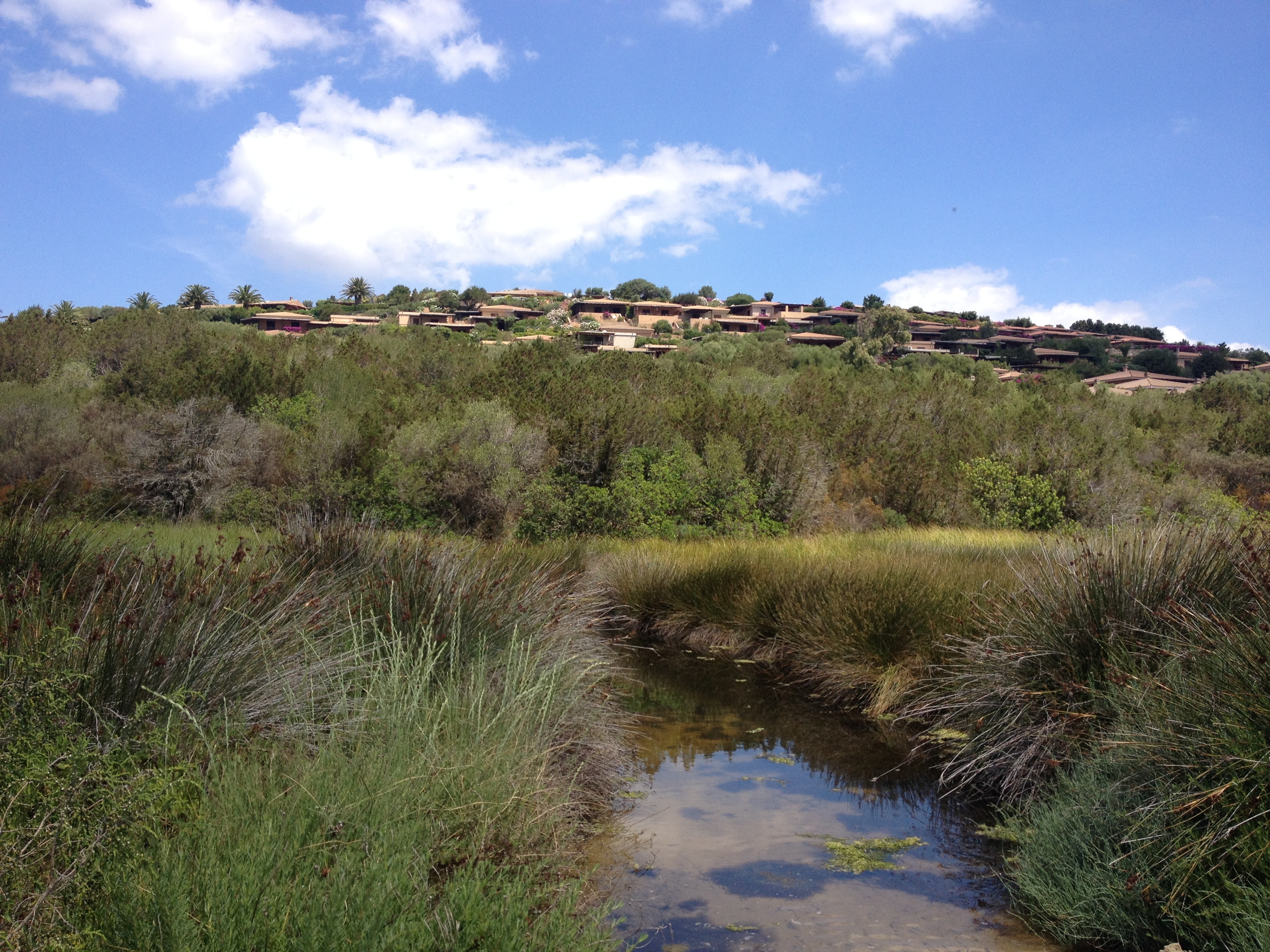 Picture Italy Sardinia Costa Smeralda 2015-06 44 - Center Costa Smeralda