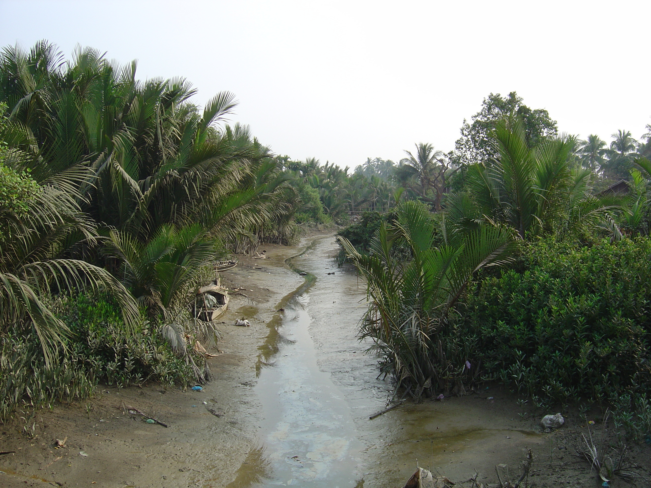 Picture Myanmar Dawei (TAVOY) 2005-01 101 - Journey Dawei (TAVOY)