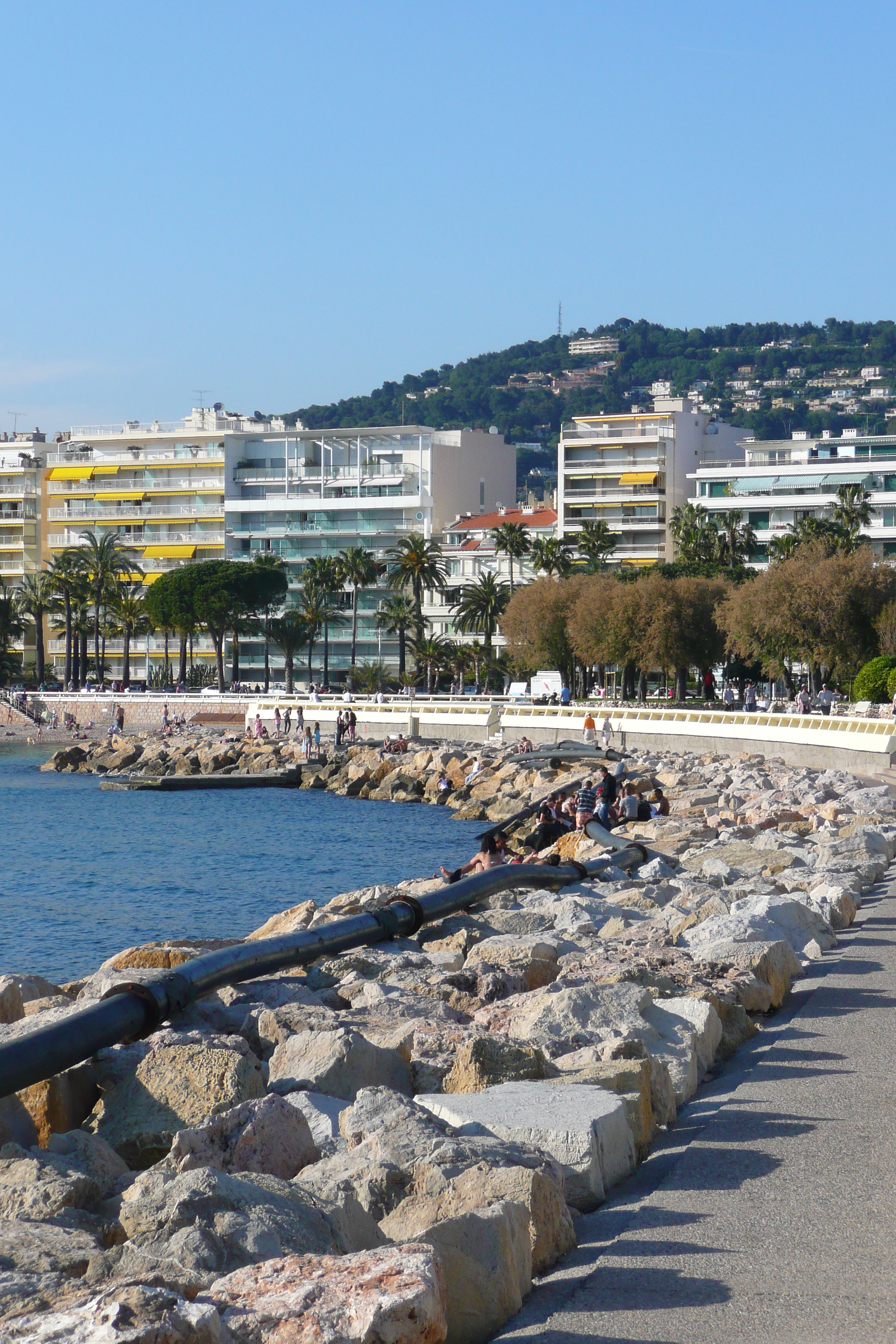 Picture France Cannes Port Pierre Canto 2008-05 68 - Discovery Port Pierre Canto