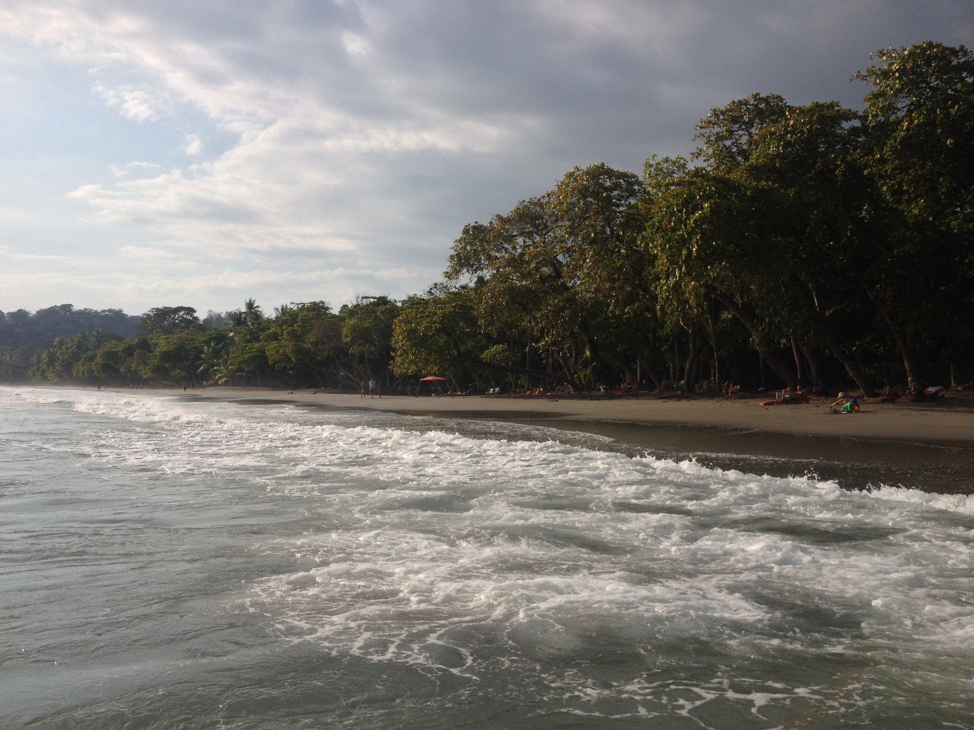 Picture Costa Rica Manuel Antonio 2015-03 131 - Center Manuel Antonio