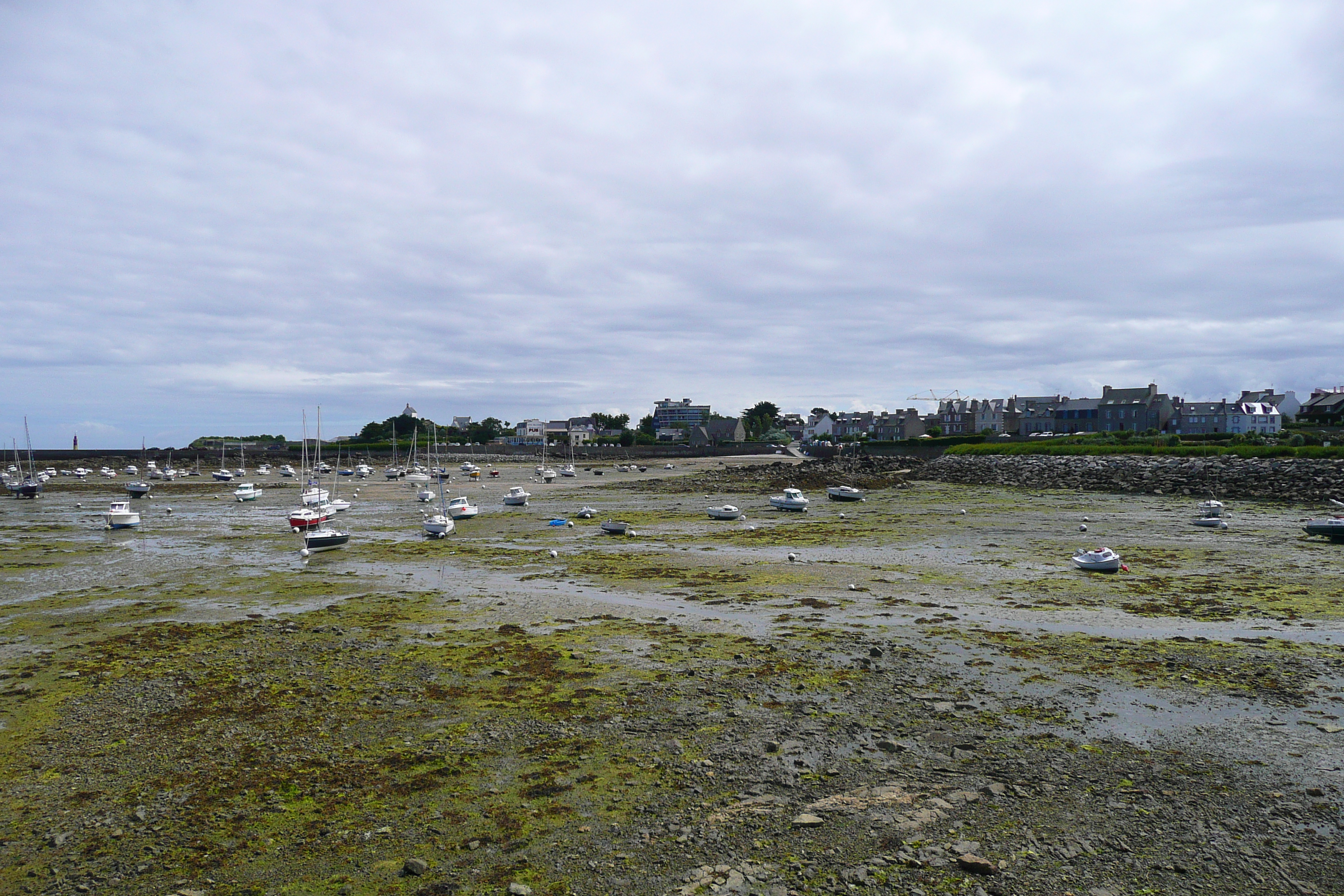 Picture France Roscoff 2007-08 55 - Discovery Roscoff