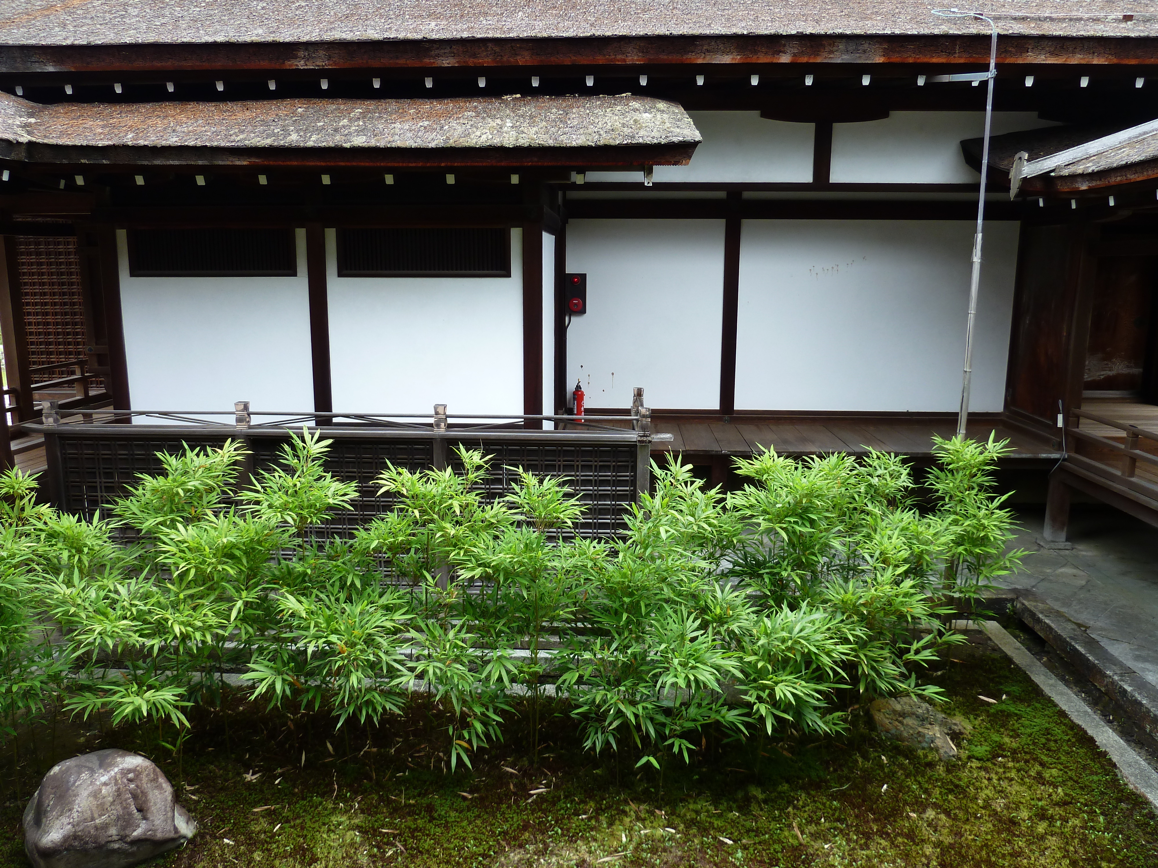 Picture Japan Kyoto Ninna ji imperial Residence 2010-06 74 - Tours Ninna ji imperial Residence