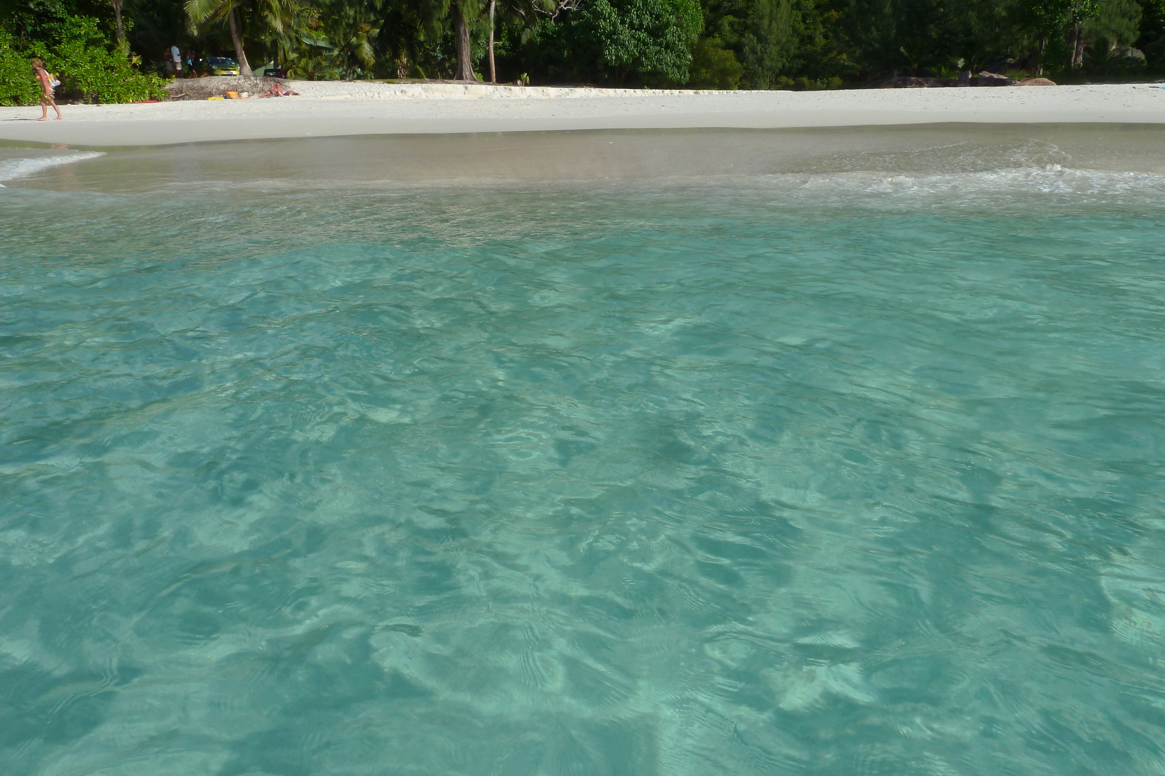 Picture Seychelles Anse Lazio 2011-10 71 - Tours Anse Lazio