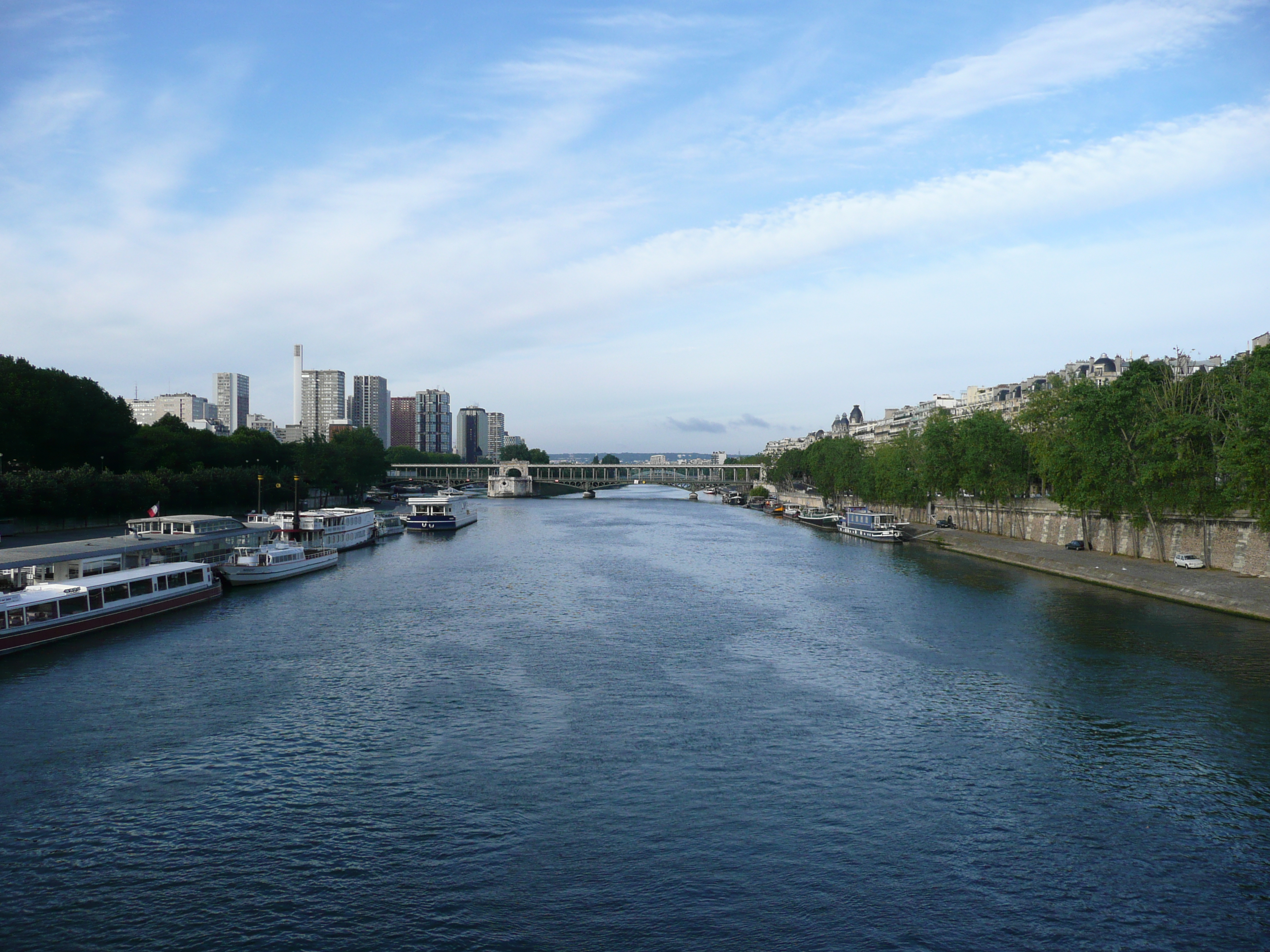 Picture France Paris The Bridges of Paris 2007-06 54 - Center The Bridges of Paris