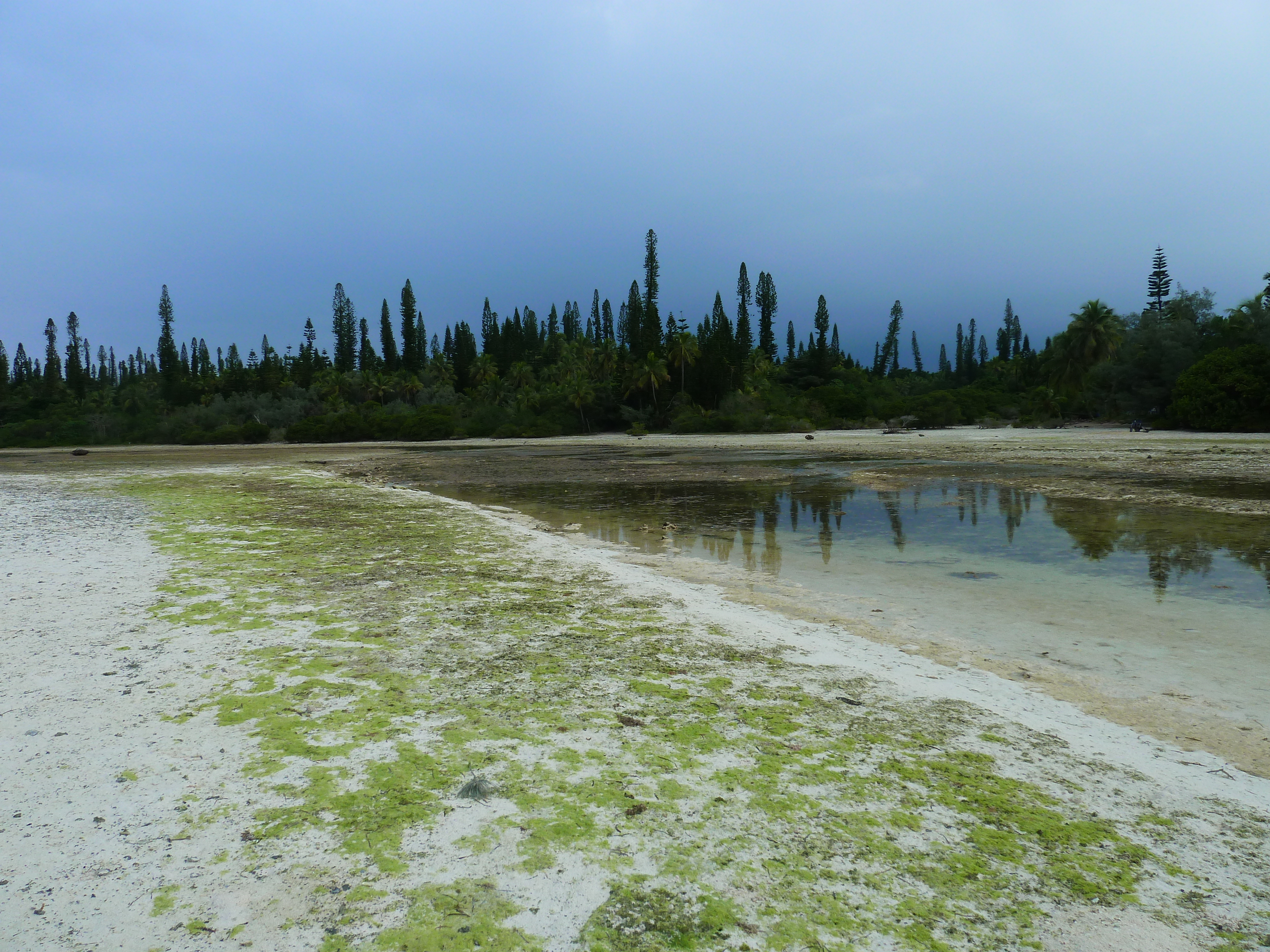 Picture New Caledonia Ile des pins Oro Bay 2010-05 31 - Journey Oro Bay