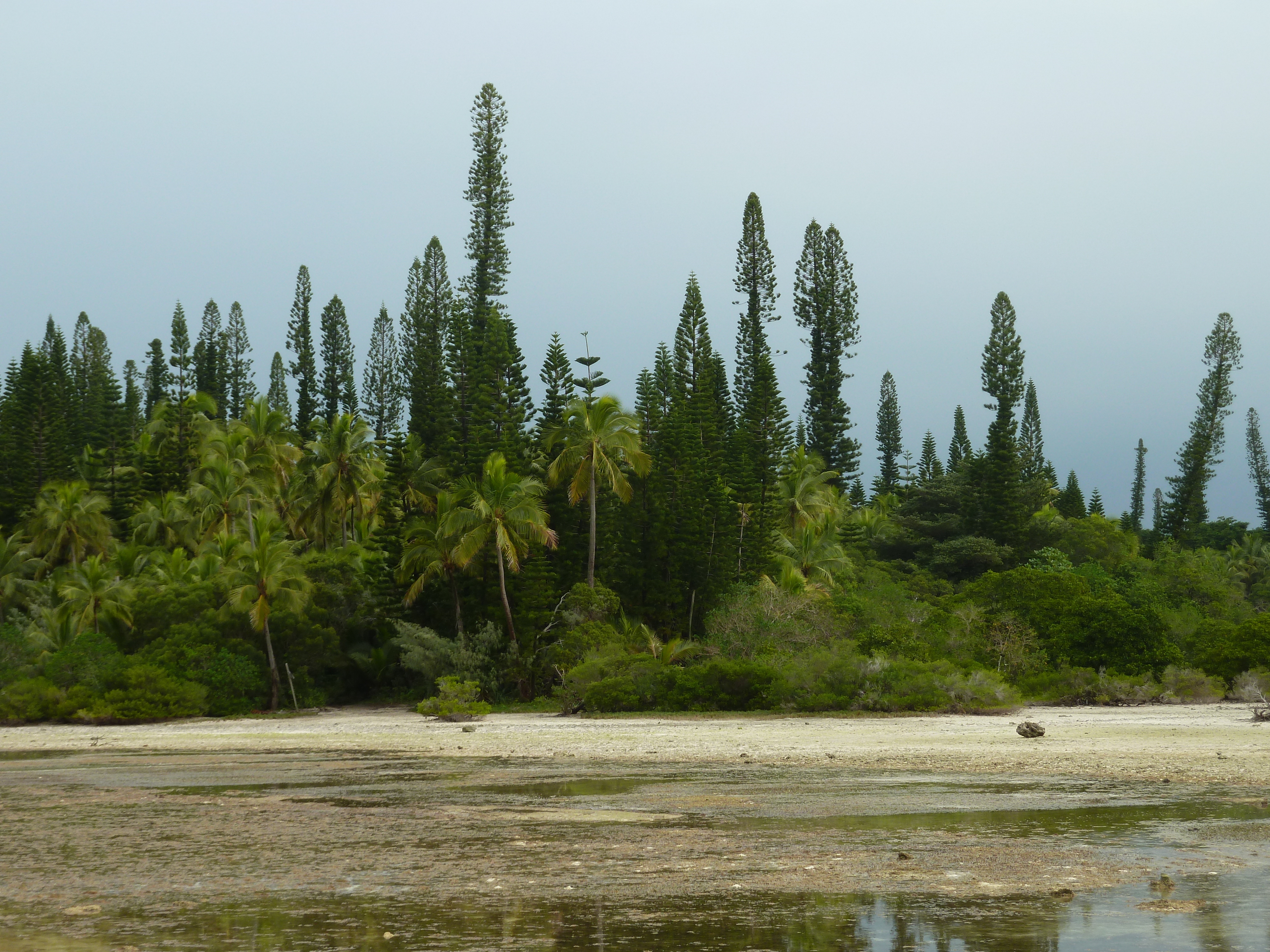 Picture New Caledonia Ile des pins Oro Bay 2010-05 3 - Tour Oro Bay