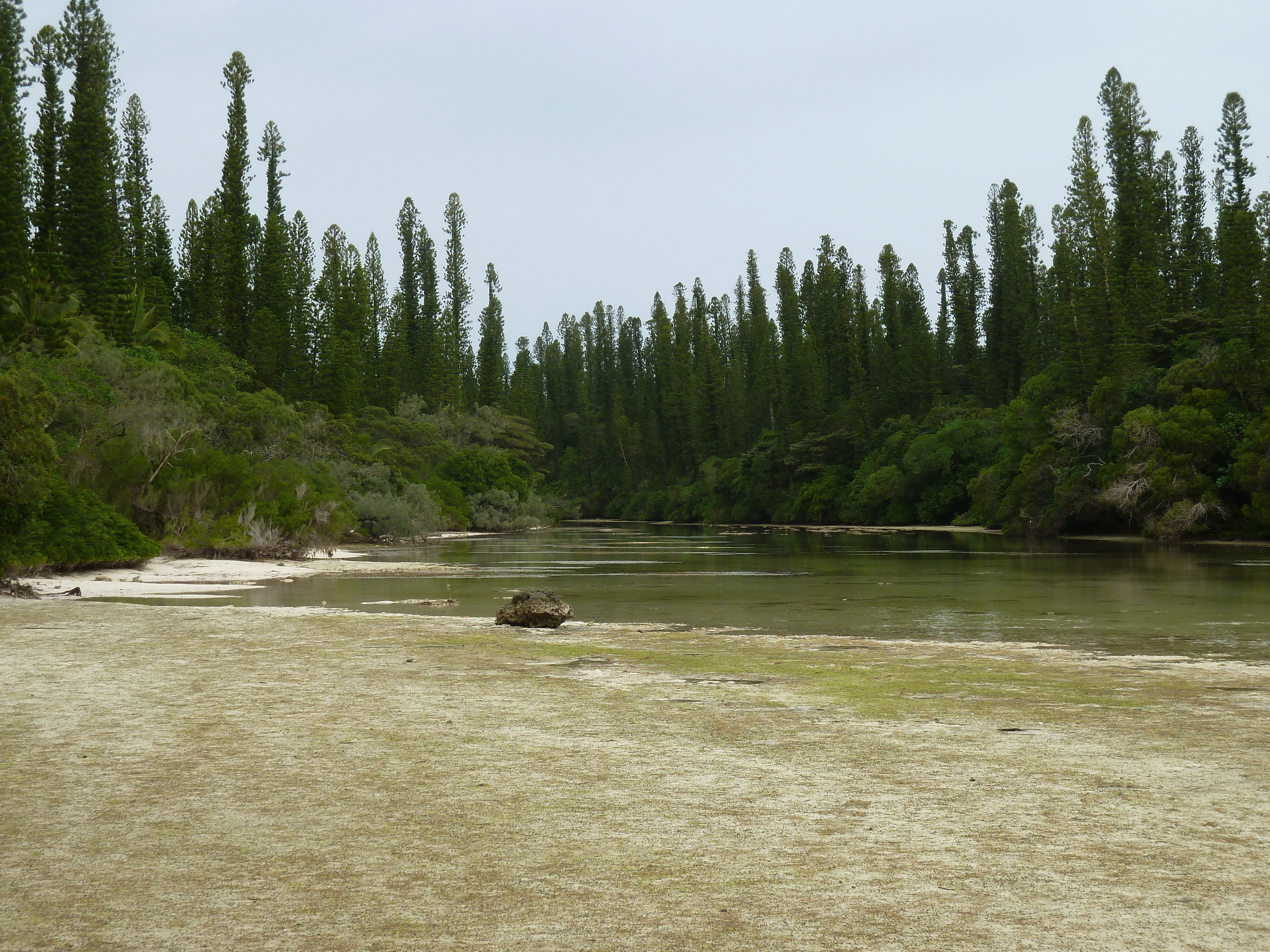 Picture New Caledonia Ile des pins Oro Bay 2010-05 102 - Discovery Oro Bay