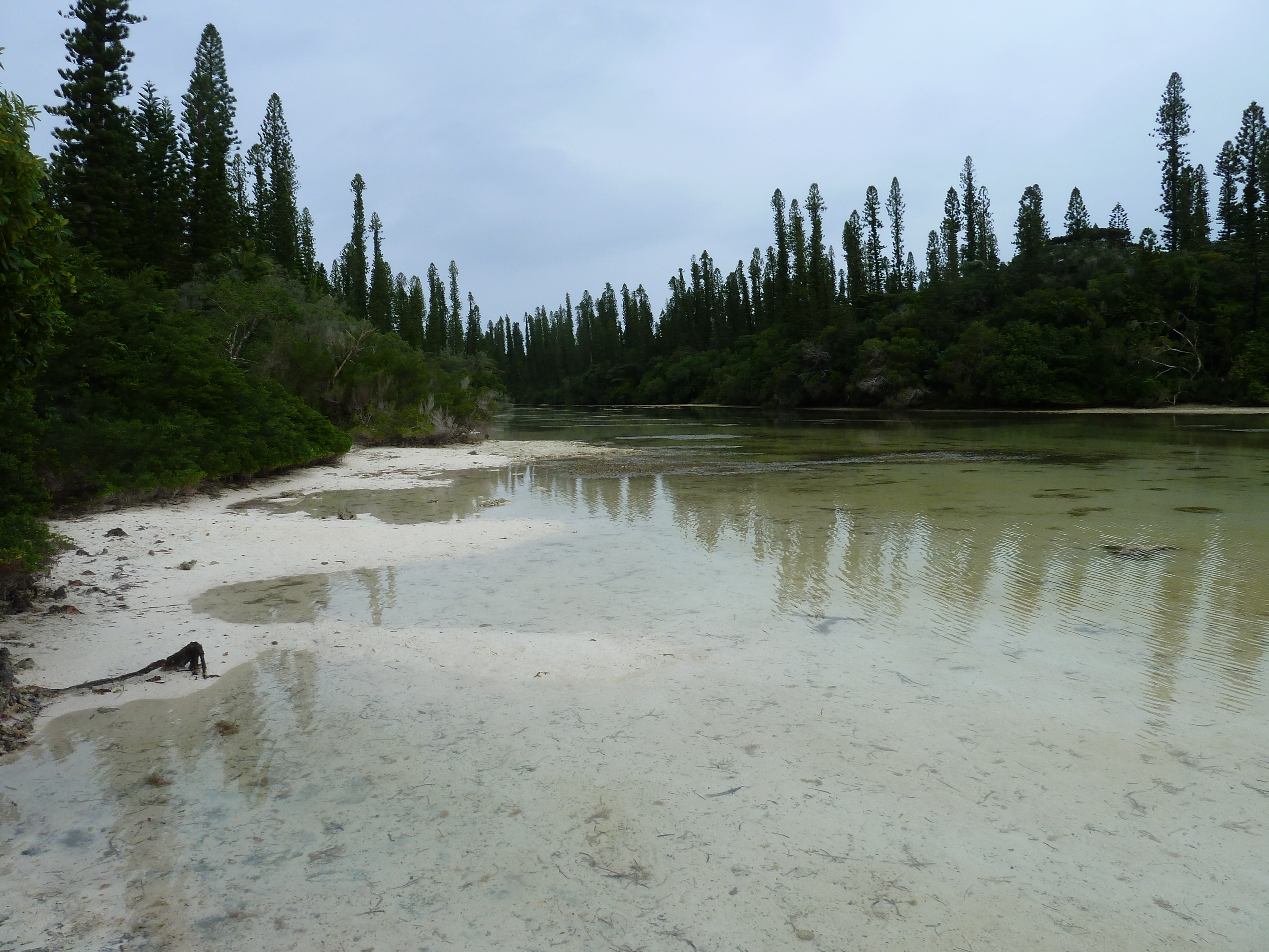 Picture New Caledonia Ile des pins Oro Bay 2010-05 107 - Center Oro Bay