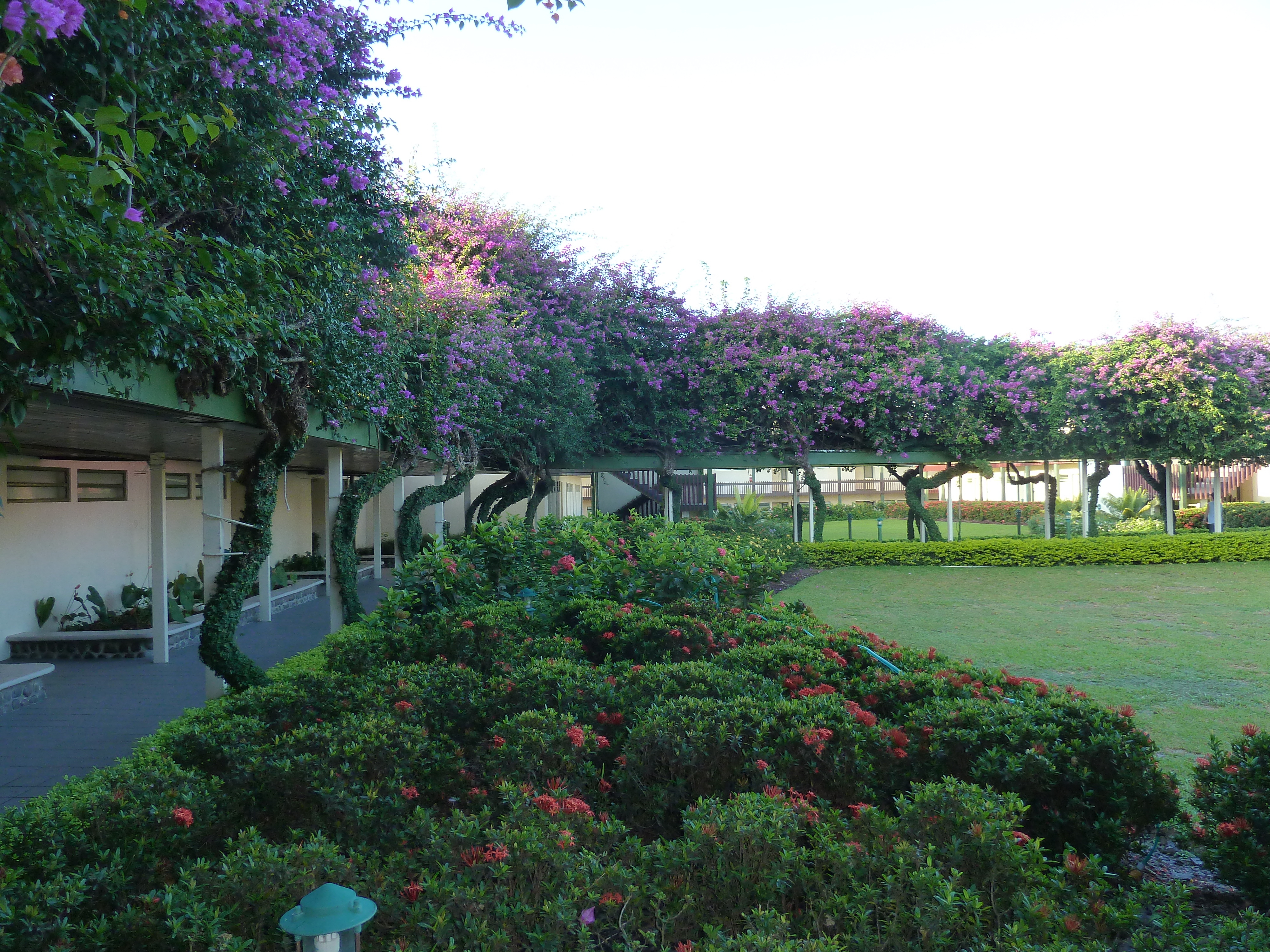 Picture Fiji Raffles Nadi Hotel 2010-05 8 - Center Raffles Nadi Hotel