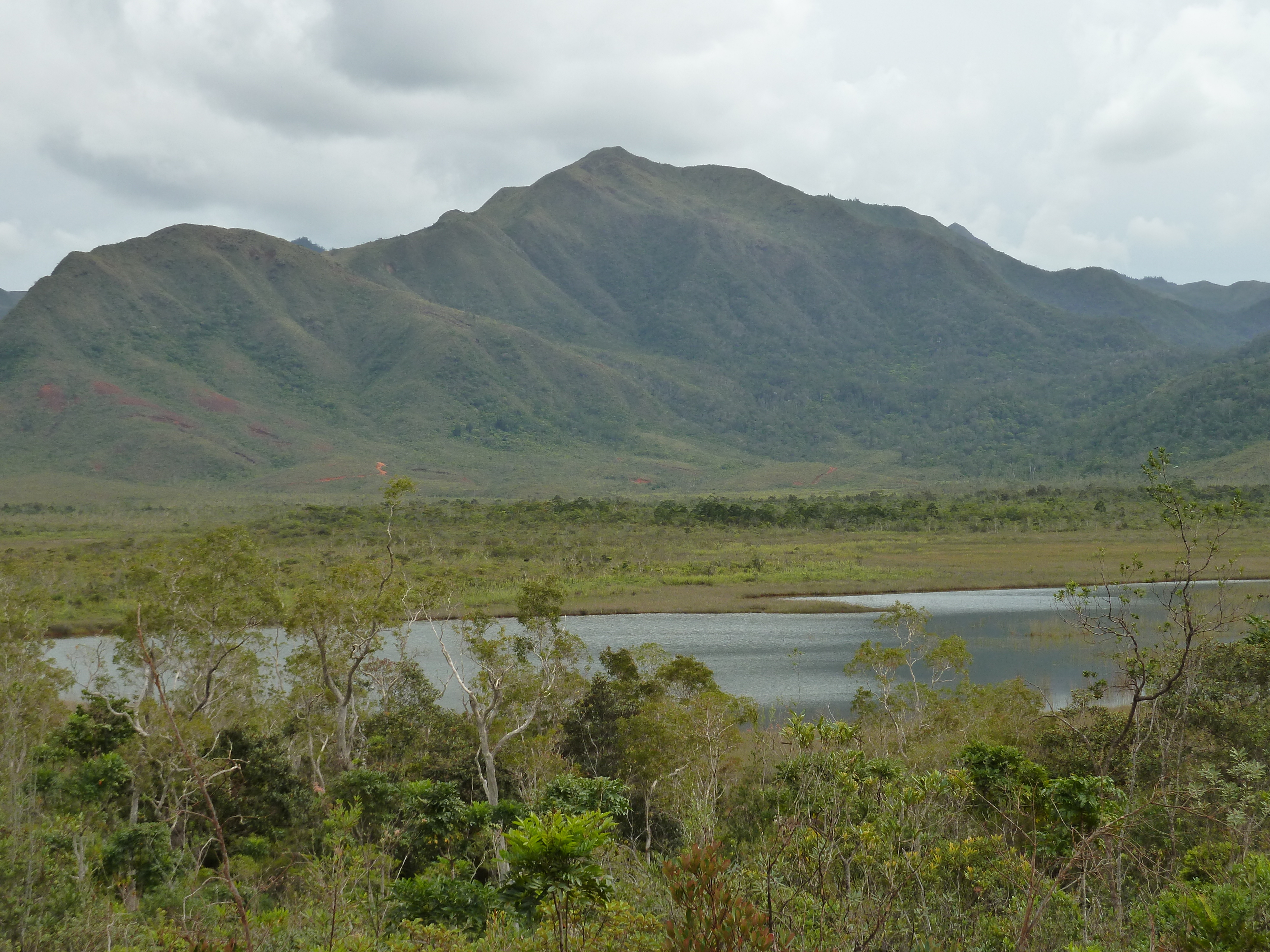 Picture New Caledonia Parc de la Riviere Bleue 2010-05 37 - Tour Parc de la Riviere Bleue