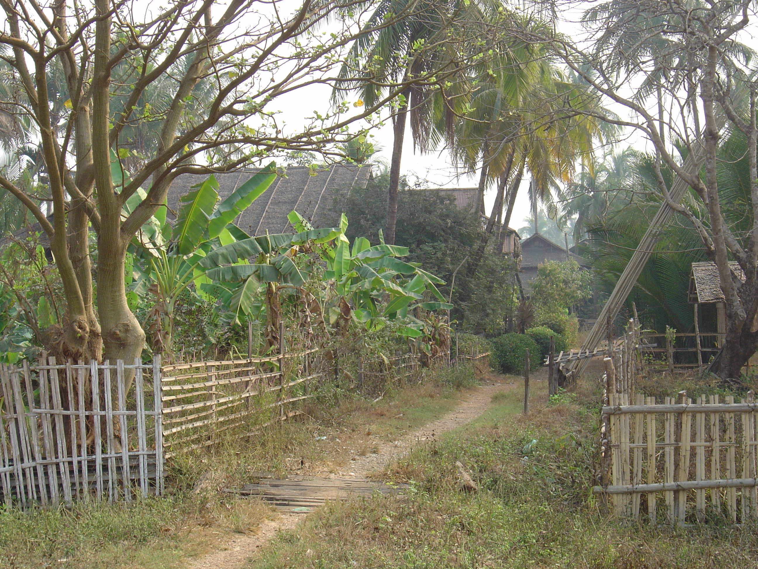 Picture Myanmar Dawei (TAVOY) 2005-01 99 - Recreation Dawei (TAVOY)