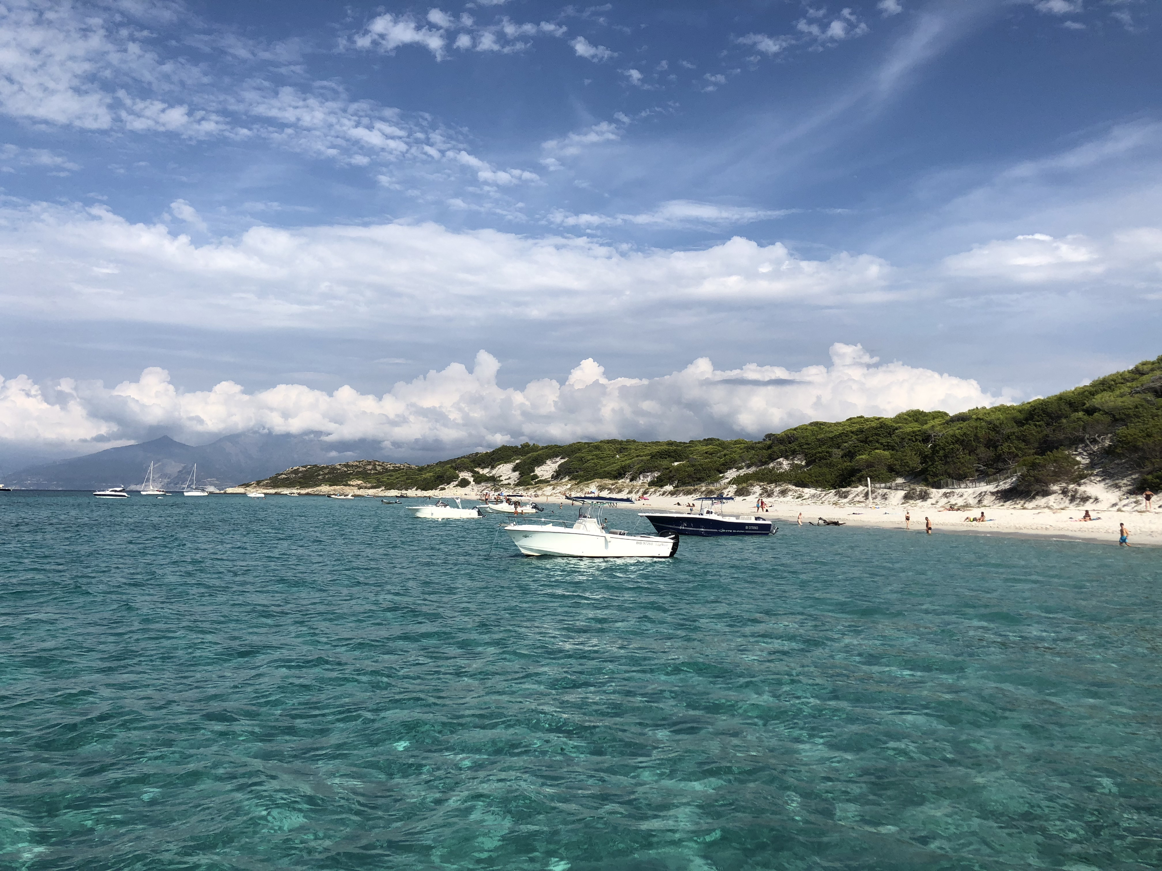 Picture France Corsica Saleccia Beach 2018-09 6 - Journey Saleccia Beach