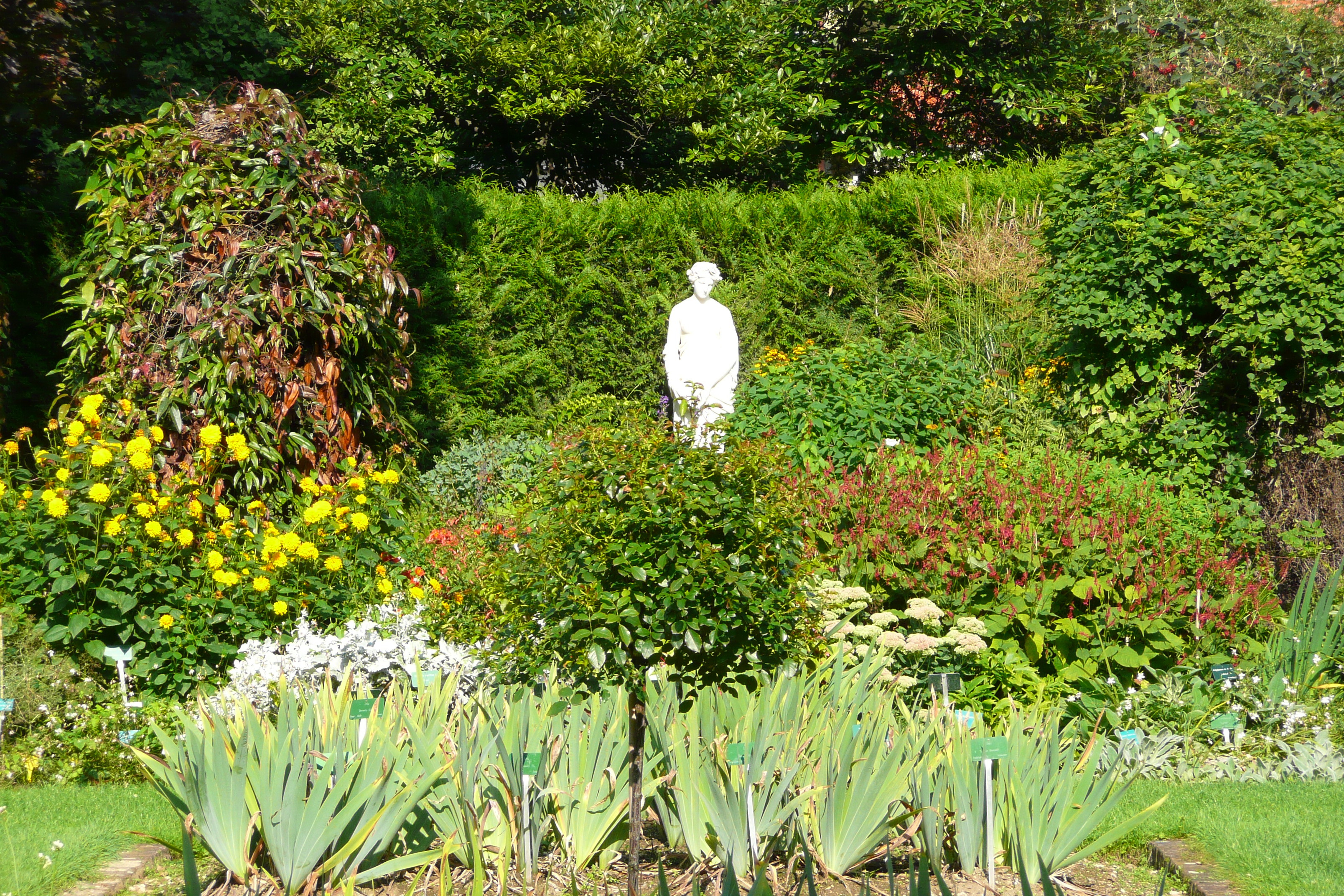 Picture France Paris Jardin des Plantes 2007-08 40 - Tour Jardin des Plantes