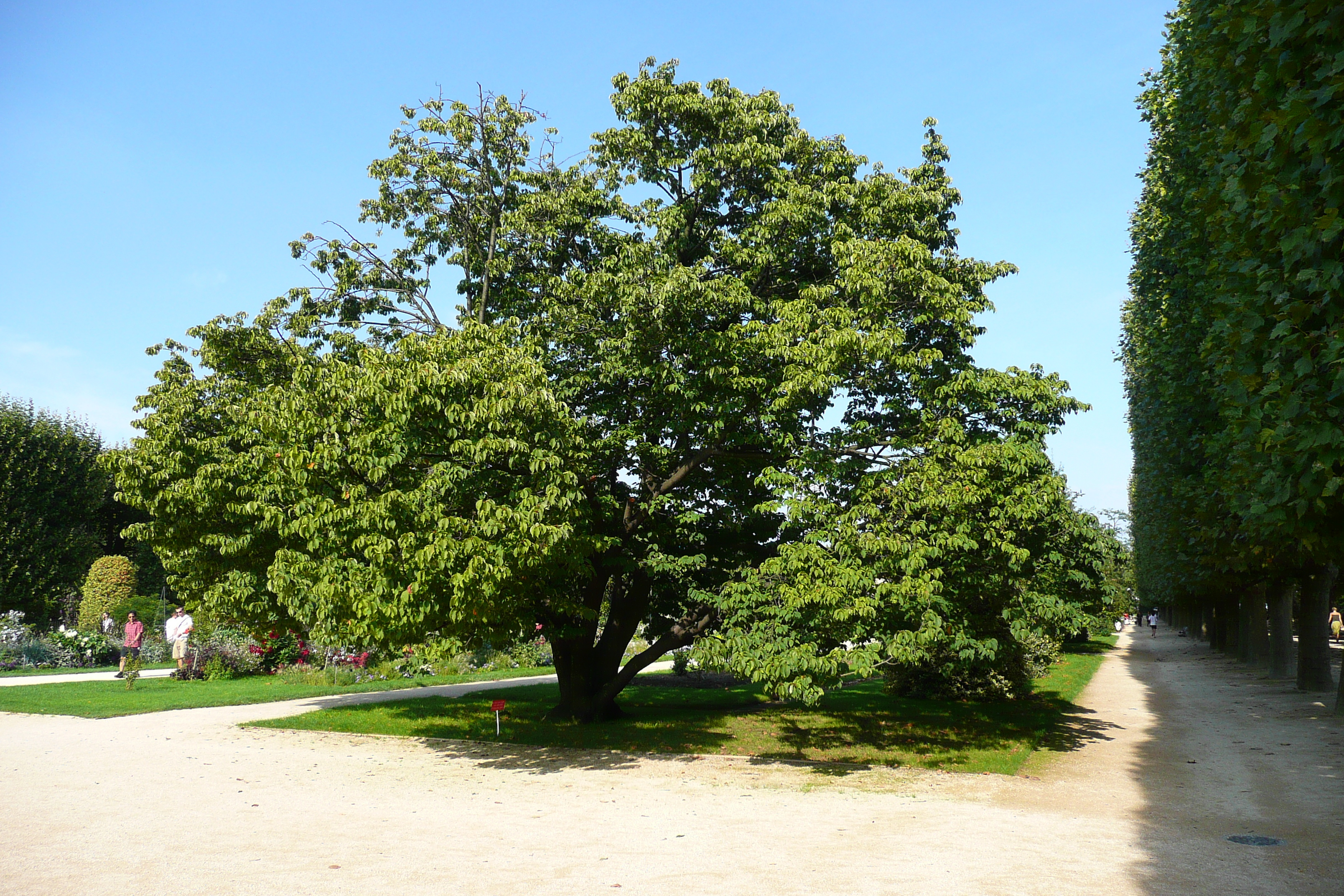 Picture France Paris Jardin des Plantes 2007-08 217 - Tour Jardin des Plantes