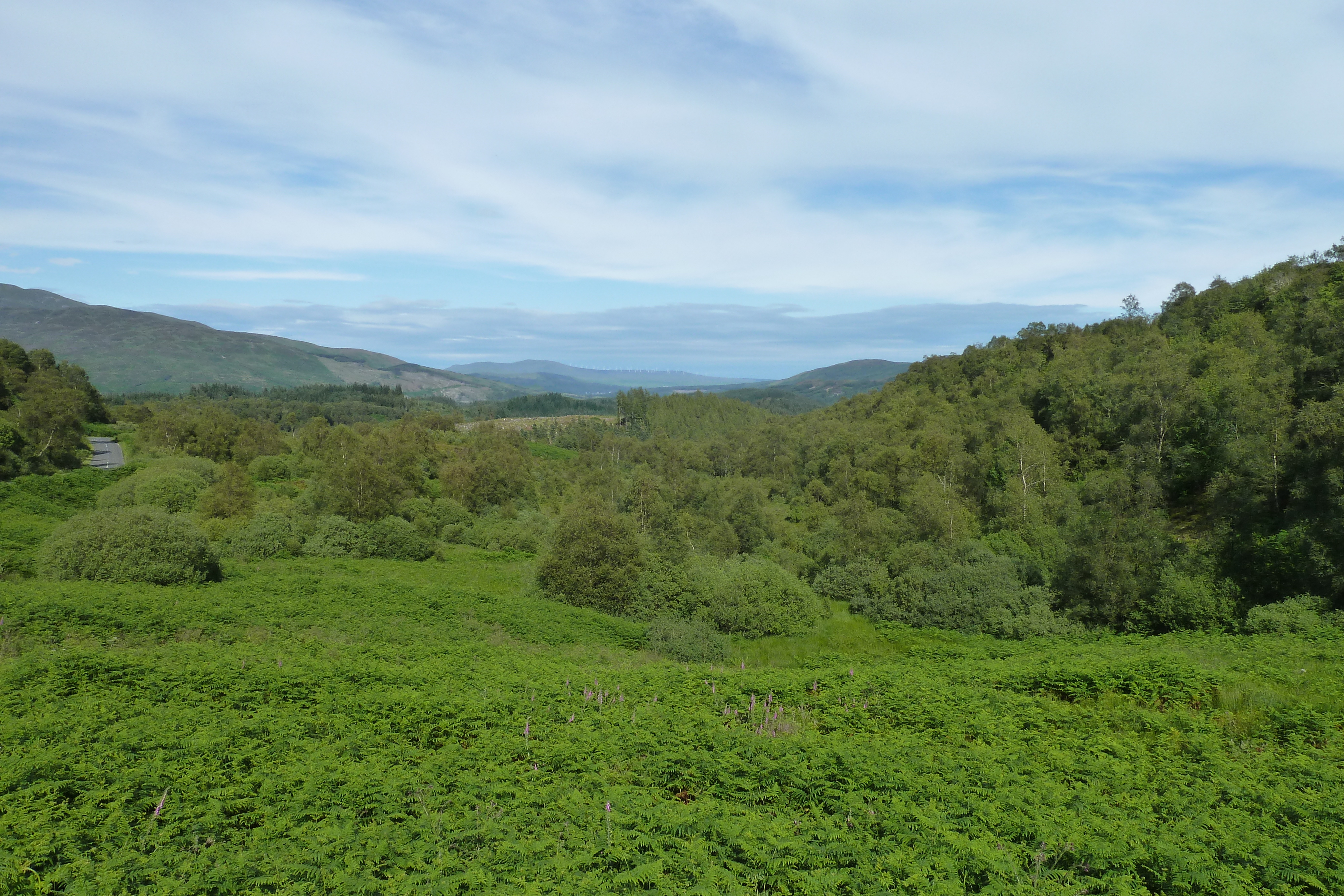 Picture United Kingdom The Trossachs 2011-07 38 - Journey The Trossachs