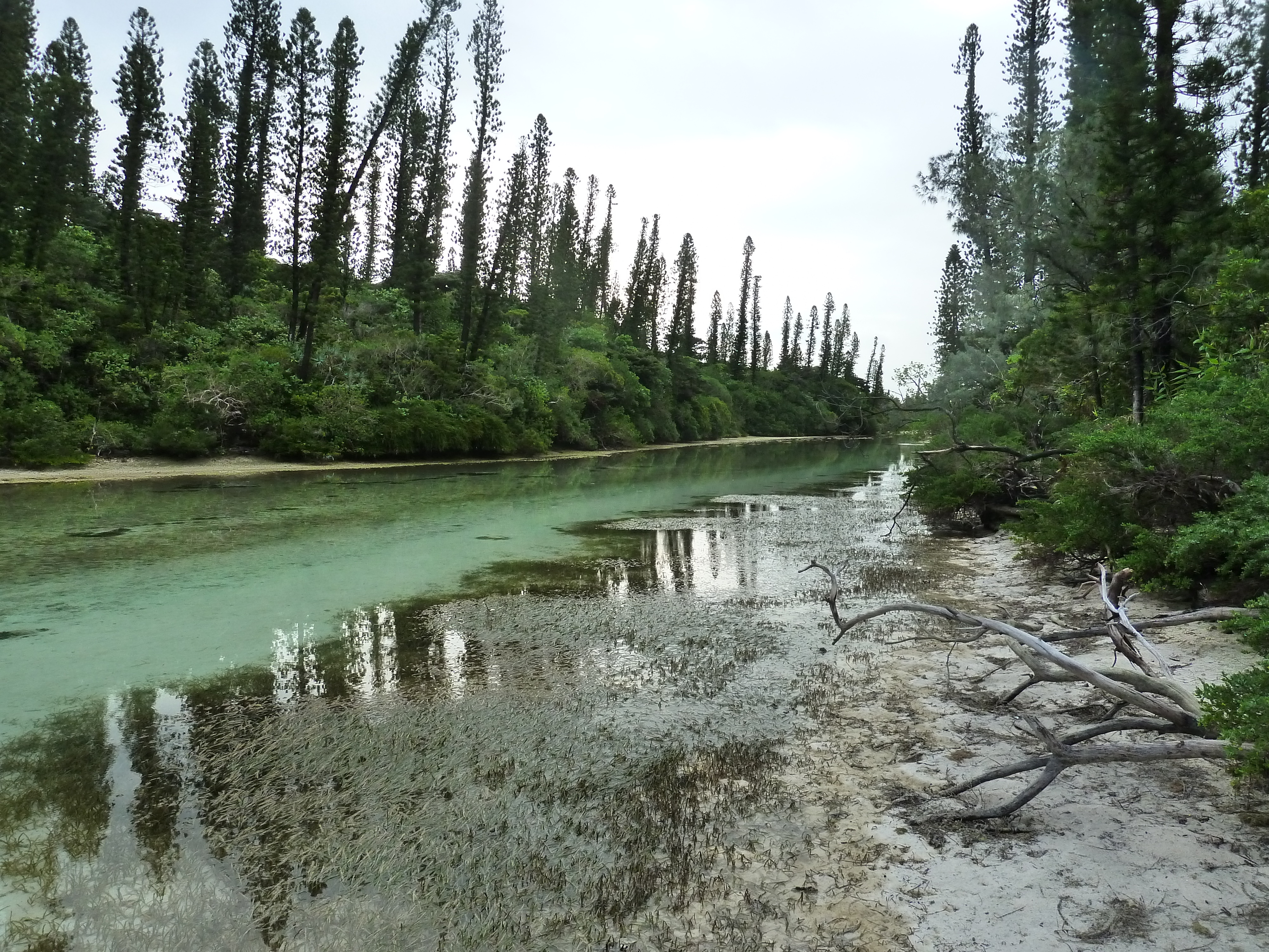 Picture New Caledonia Ile des pins Oro Bay 2010-05 41 - Center Oro Bay