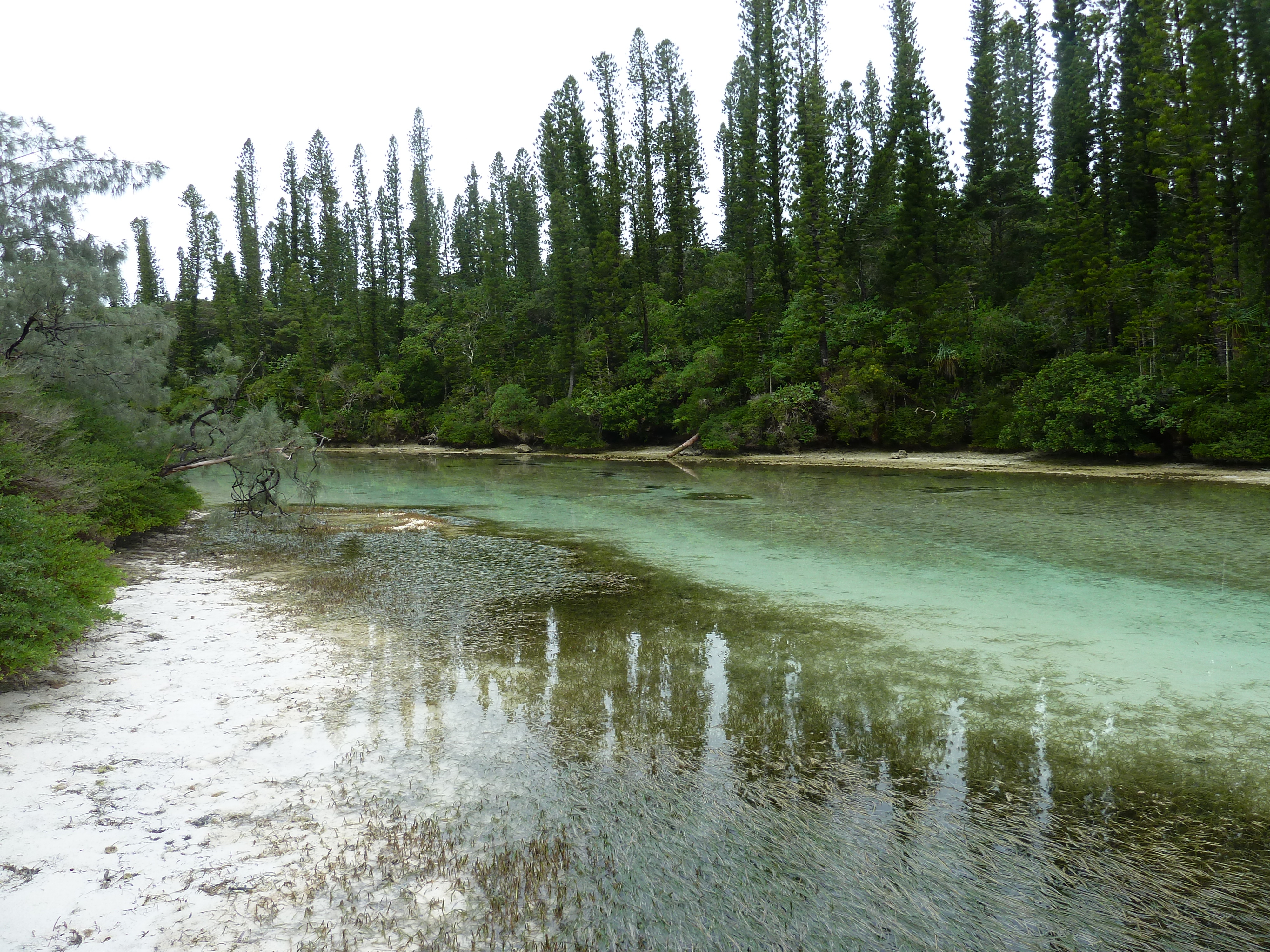 Picture New Caledonia Ile des pins Oro Bay 2010-05 36 - History Oro Bay