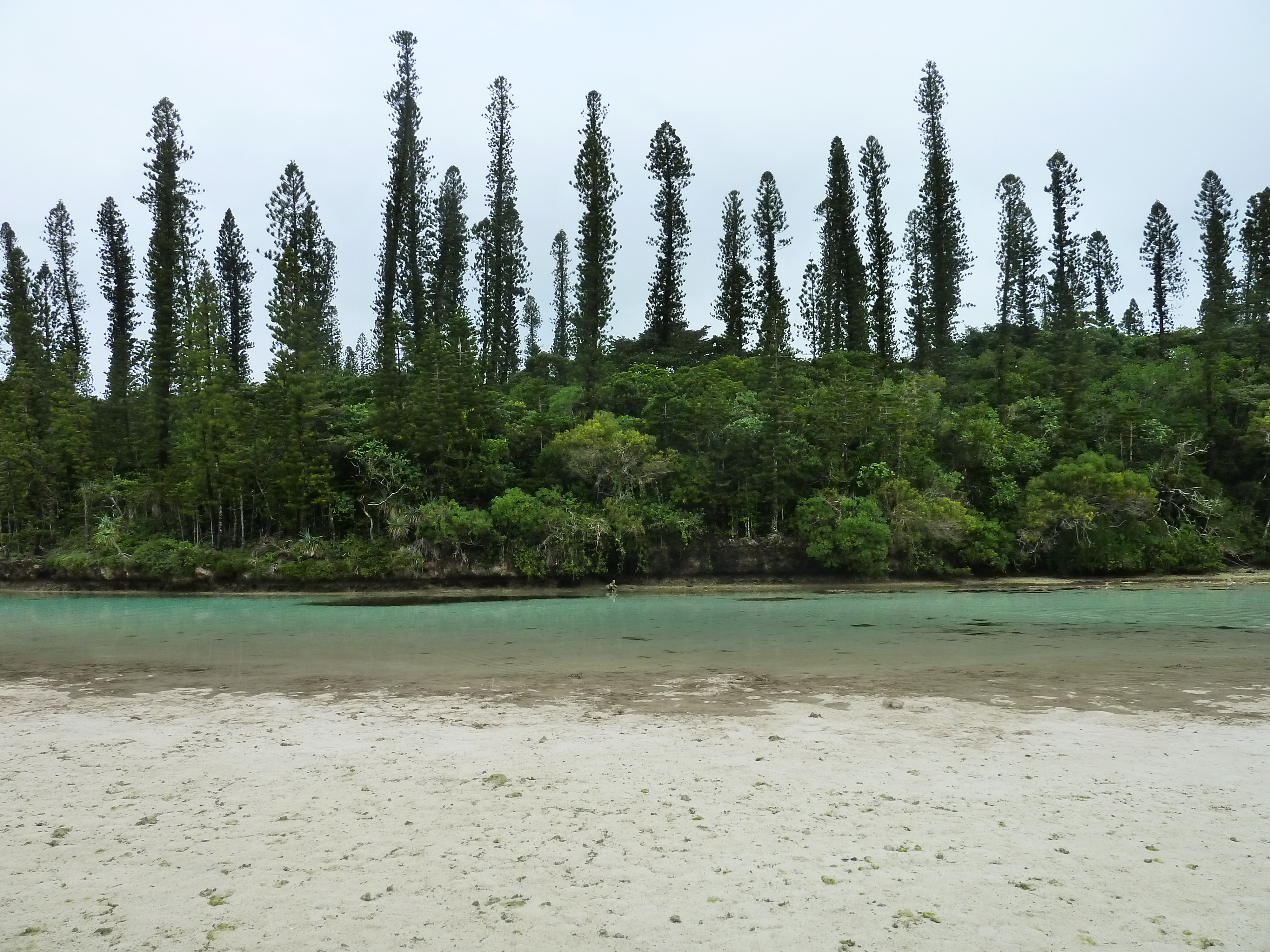 Picture New Caledonia Ile des pins Oro Bay 2010-05 30 - Discovery Oro Bay