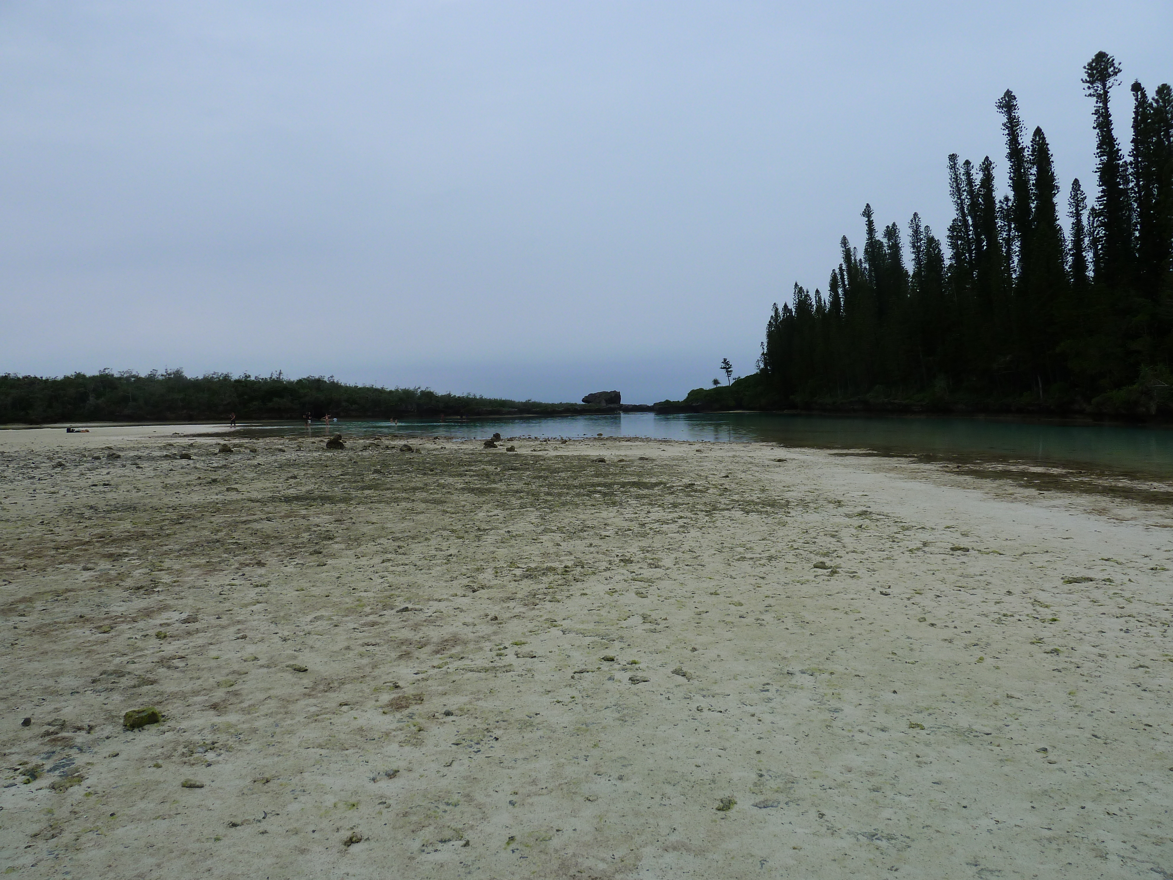 Picture New Caledonia Ile des pins Oro Bay 2010-05 75 - Tour Oro Bay