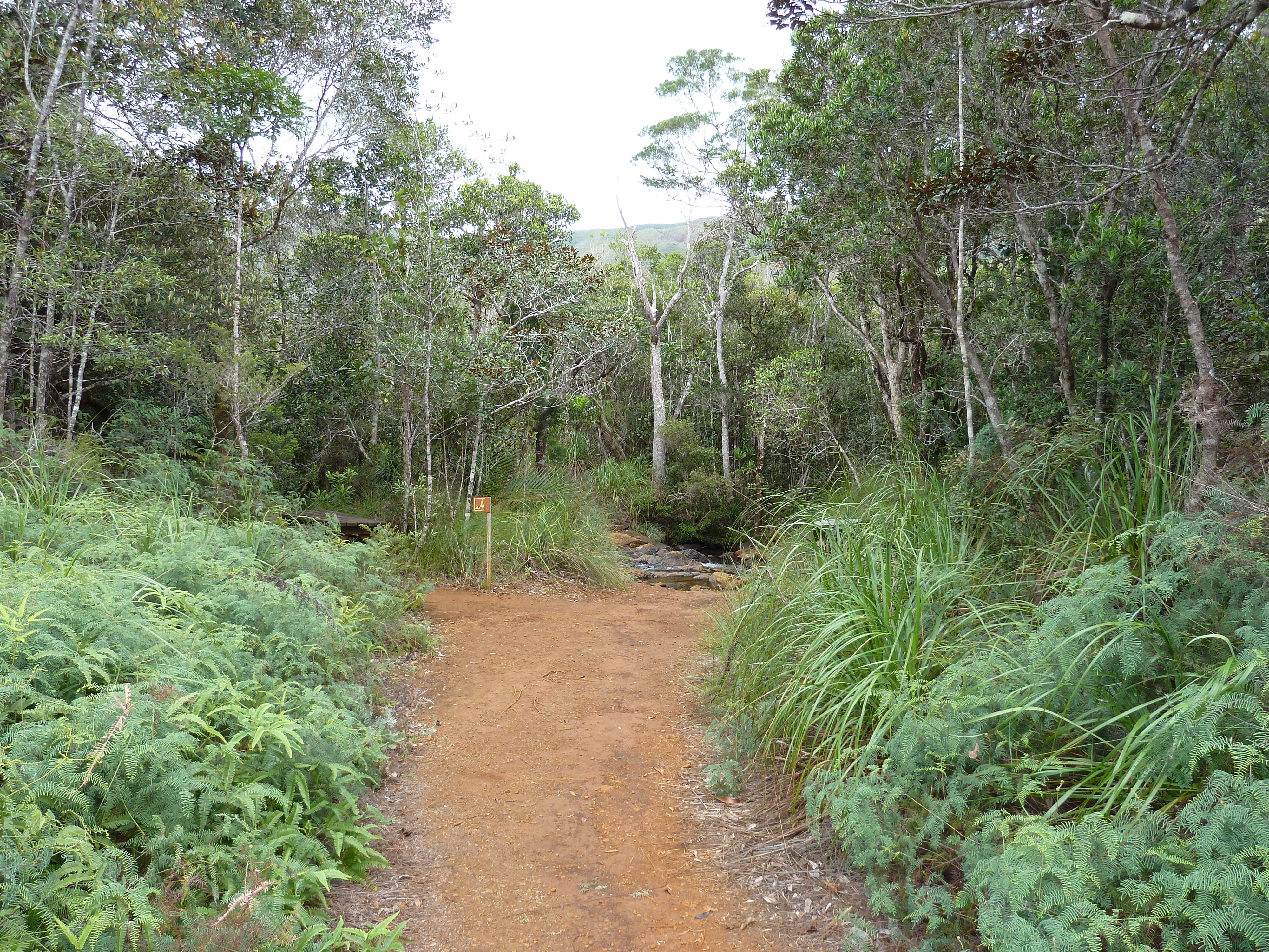 Picture New Caledonia Parc de la Riviere Bleue 2010-05 38 - History Parc de la Riviere Bleue