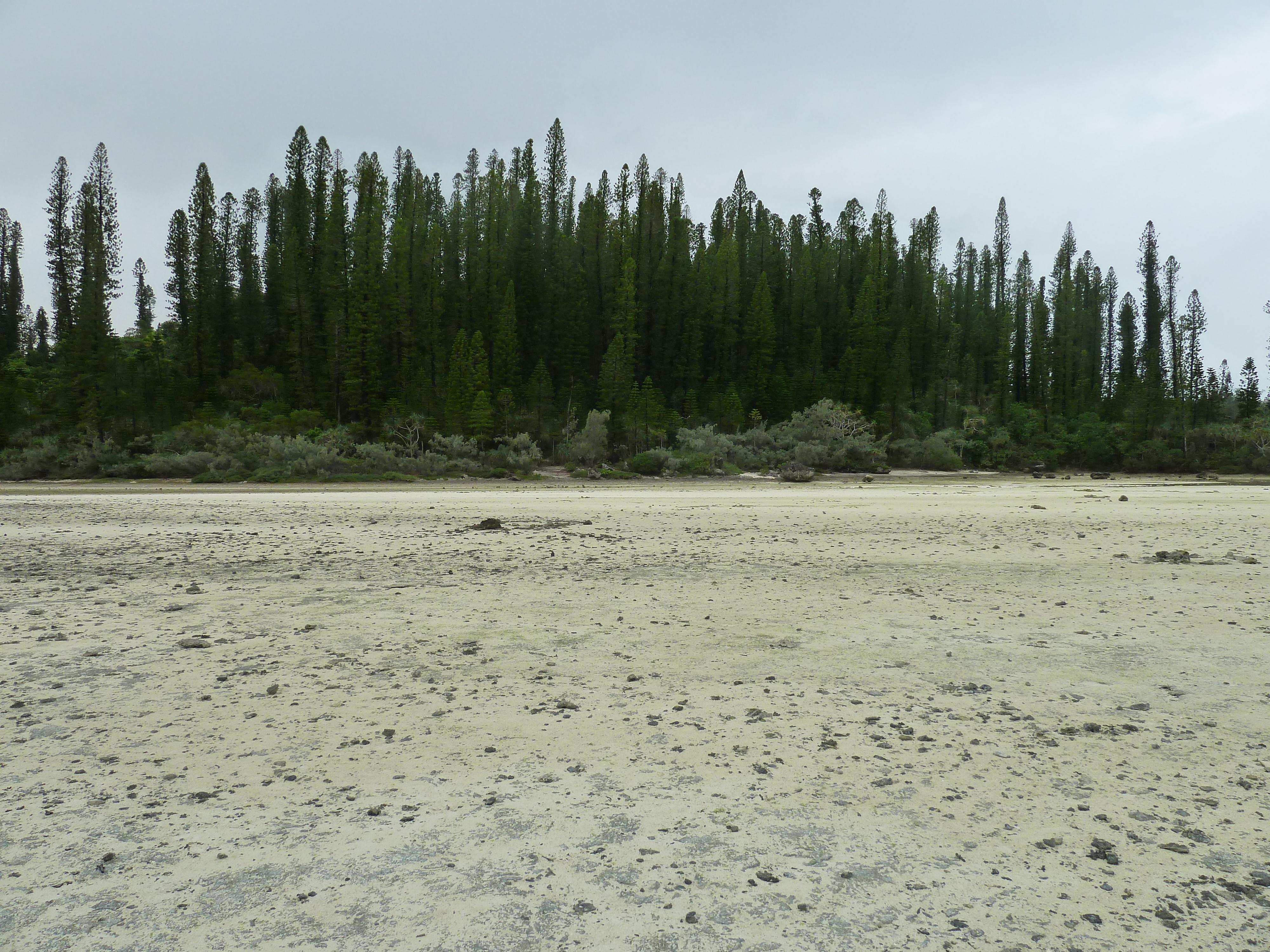 Picture New Caledonia Ile des pins Oro Bay 2010-05 70 - Tours Oro Bay