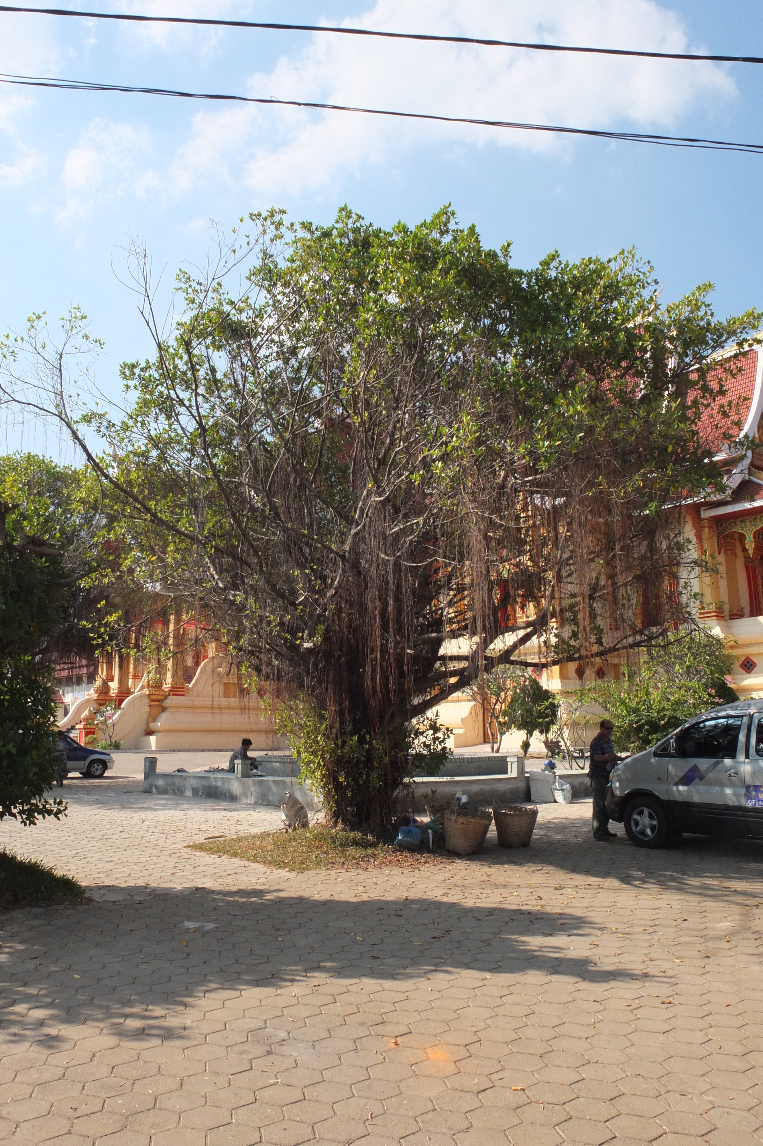 Picture Laos Vientiane 2012-12 271 - History Vientiane