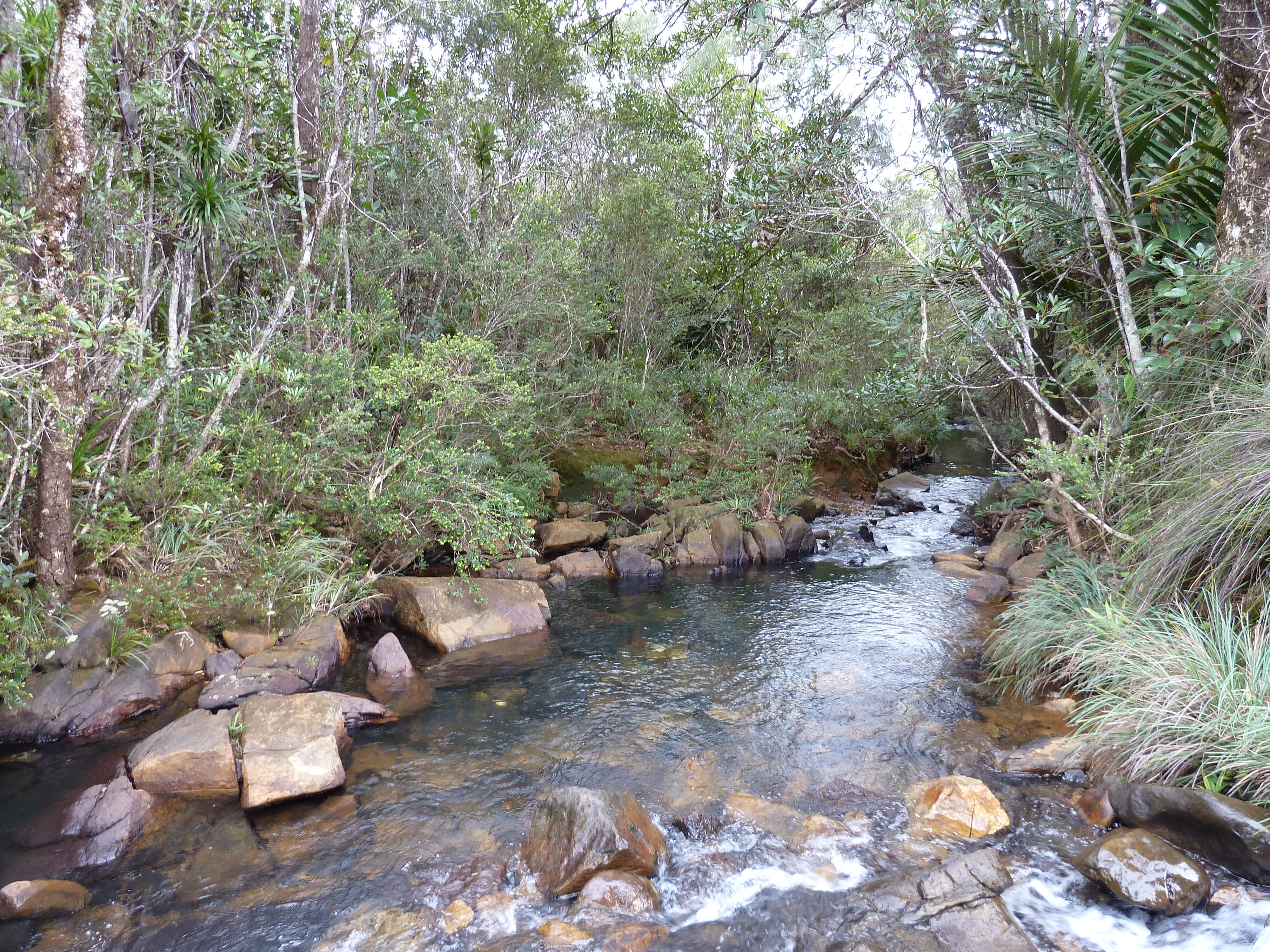 Picture New Caledonia Parc de la Riviere Bleue 2010-05 65 - Center Parc de la Riviere Bleue