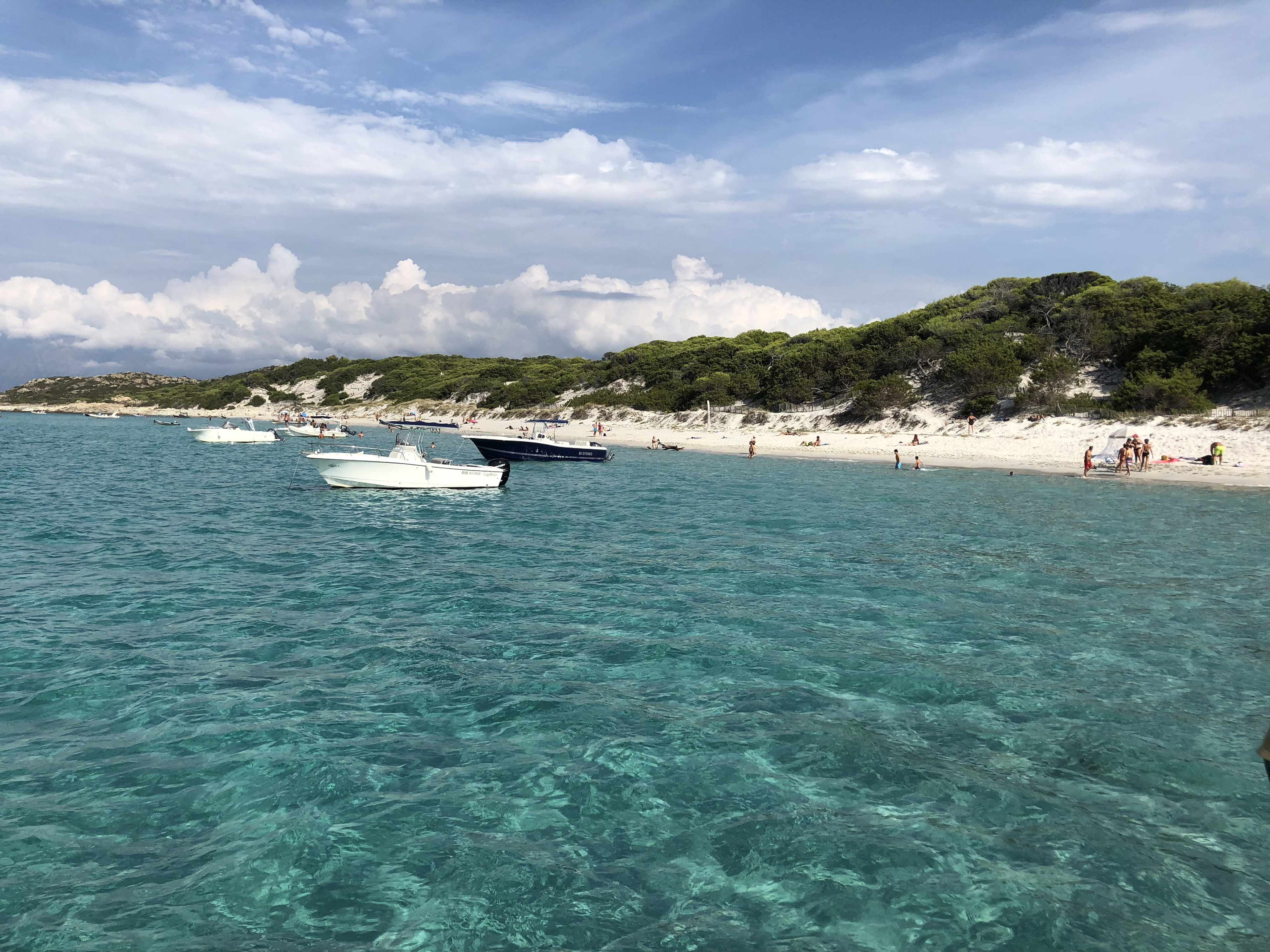 Picture France Corsica Saleccia Beach 2018-09 0 - Center Saleccia Beach