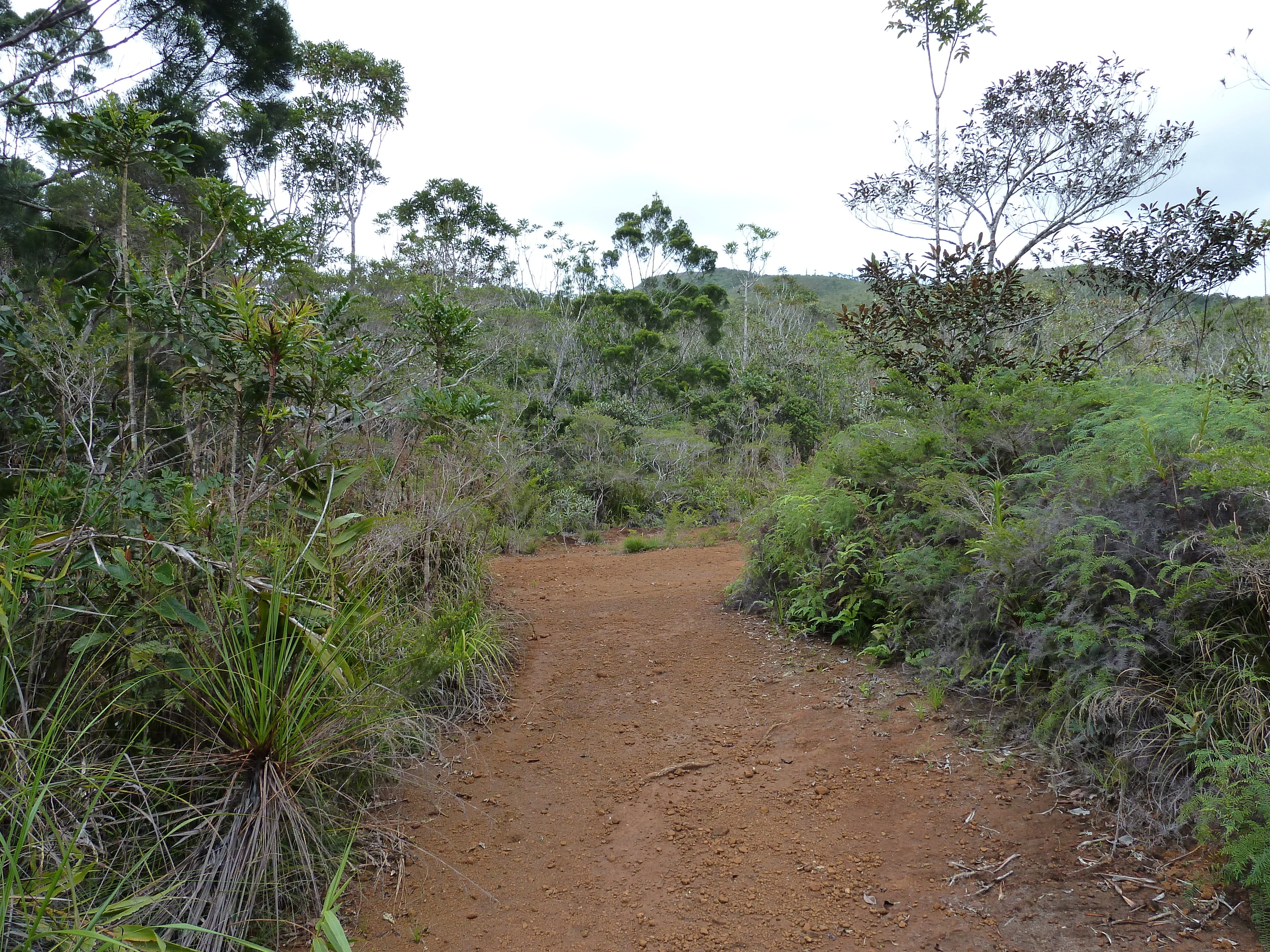 Picture New Caledonia Parc de la Riviere Bleue 2010-05 79 - History Parc de la Riviere Bleue