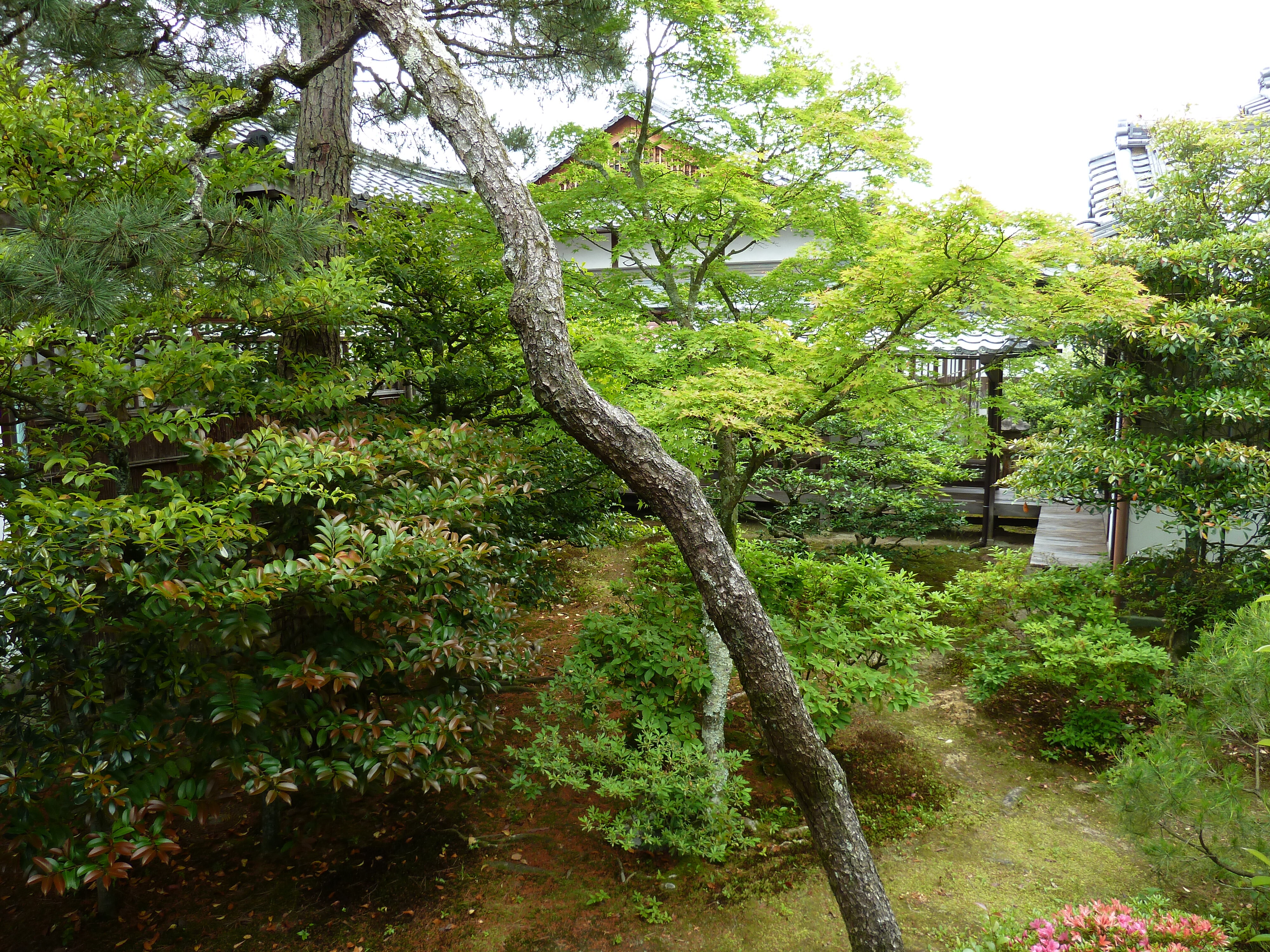 Picture Japan Kyoto Ninna ji imperial Residence 2010-06 96 - Tours Ninna ji imperial Residence