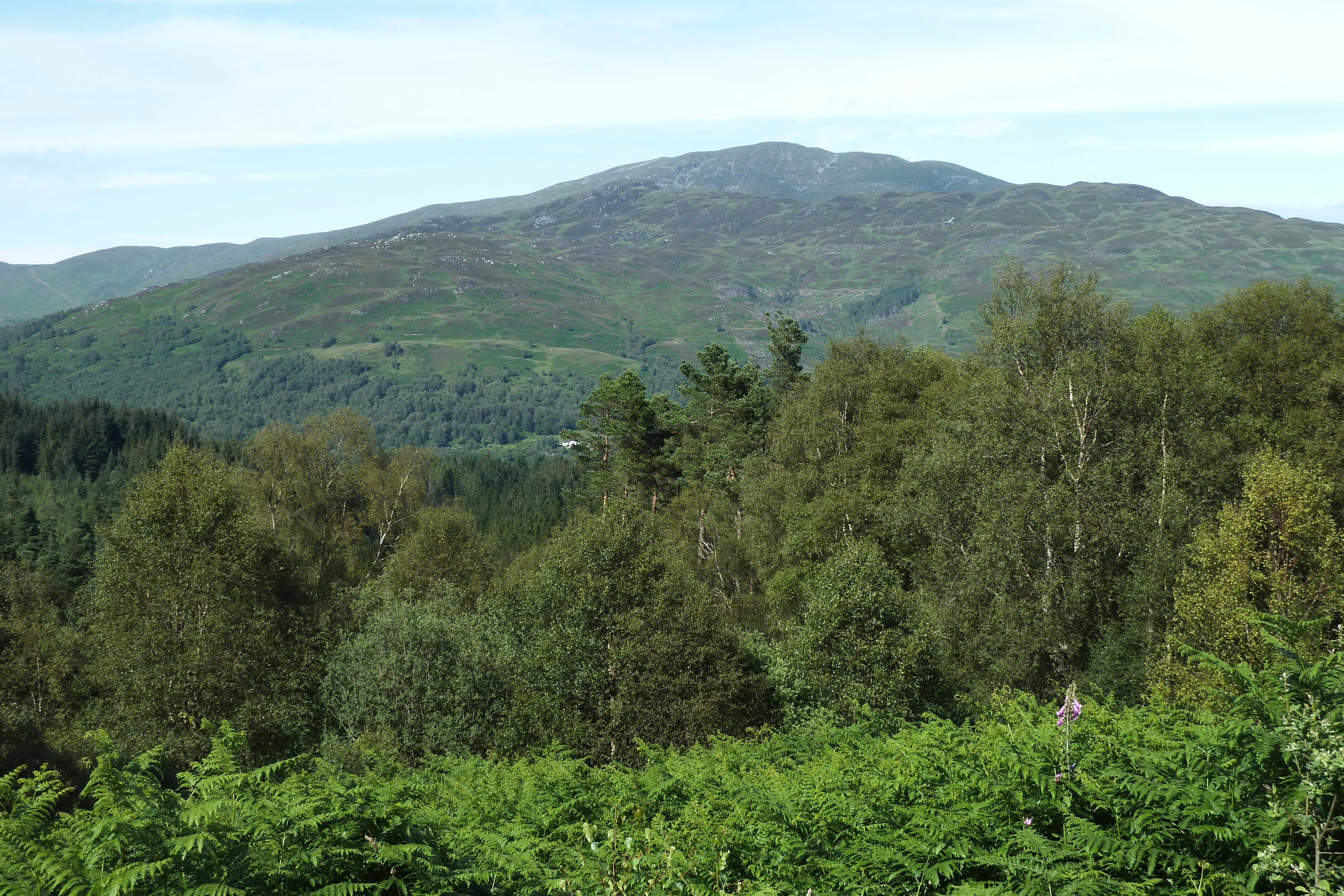 Picture United Kingdom The Trossachs 2011-07 37 - Around The Trossachs