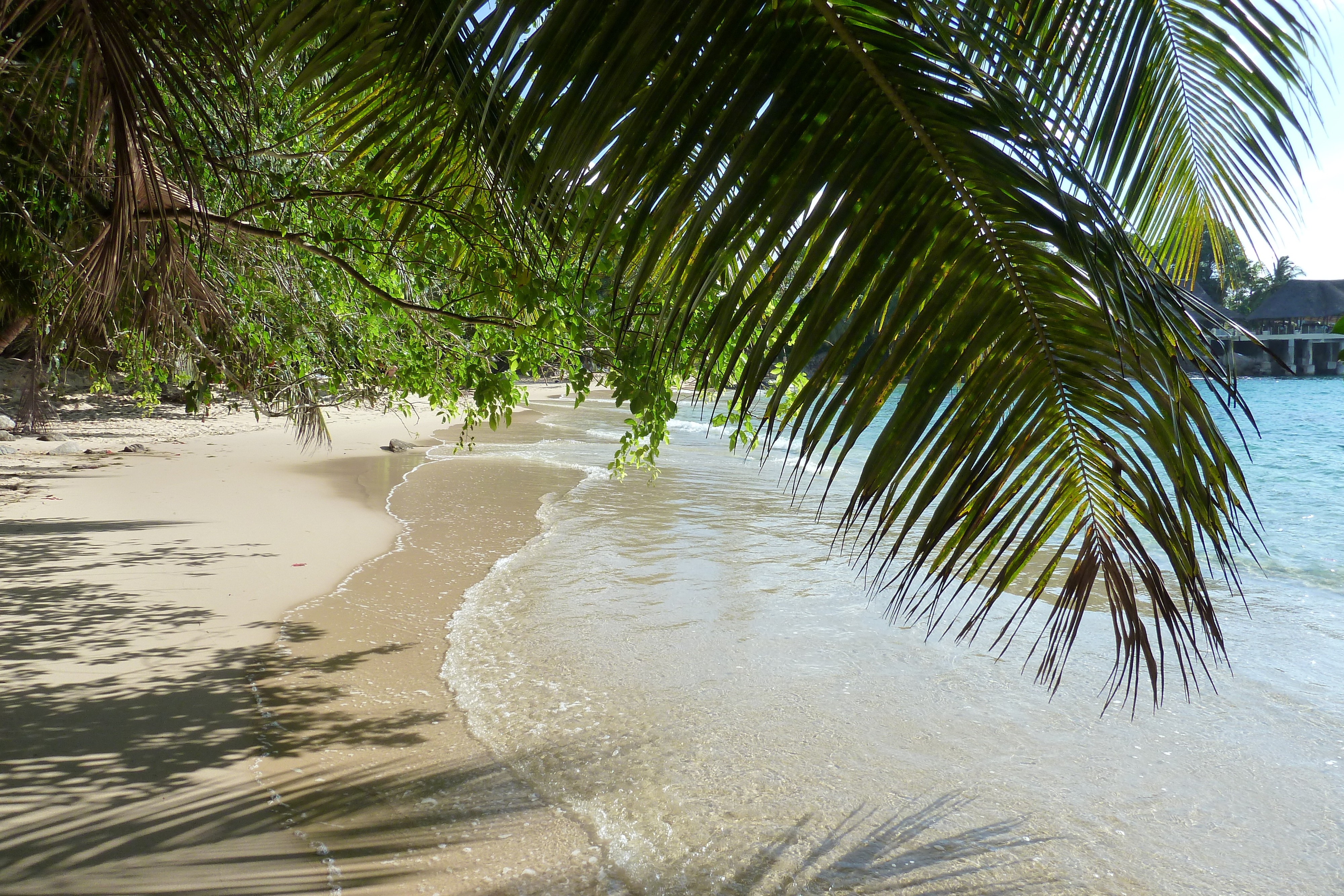 Picture Seychelles Mahe 2011-10 207 - Center Mahe