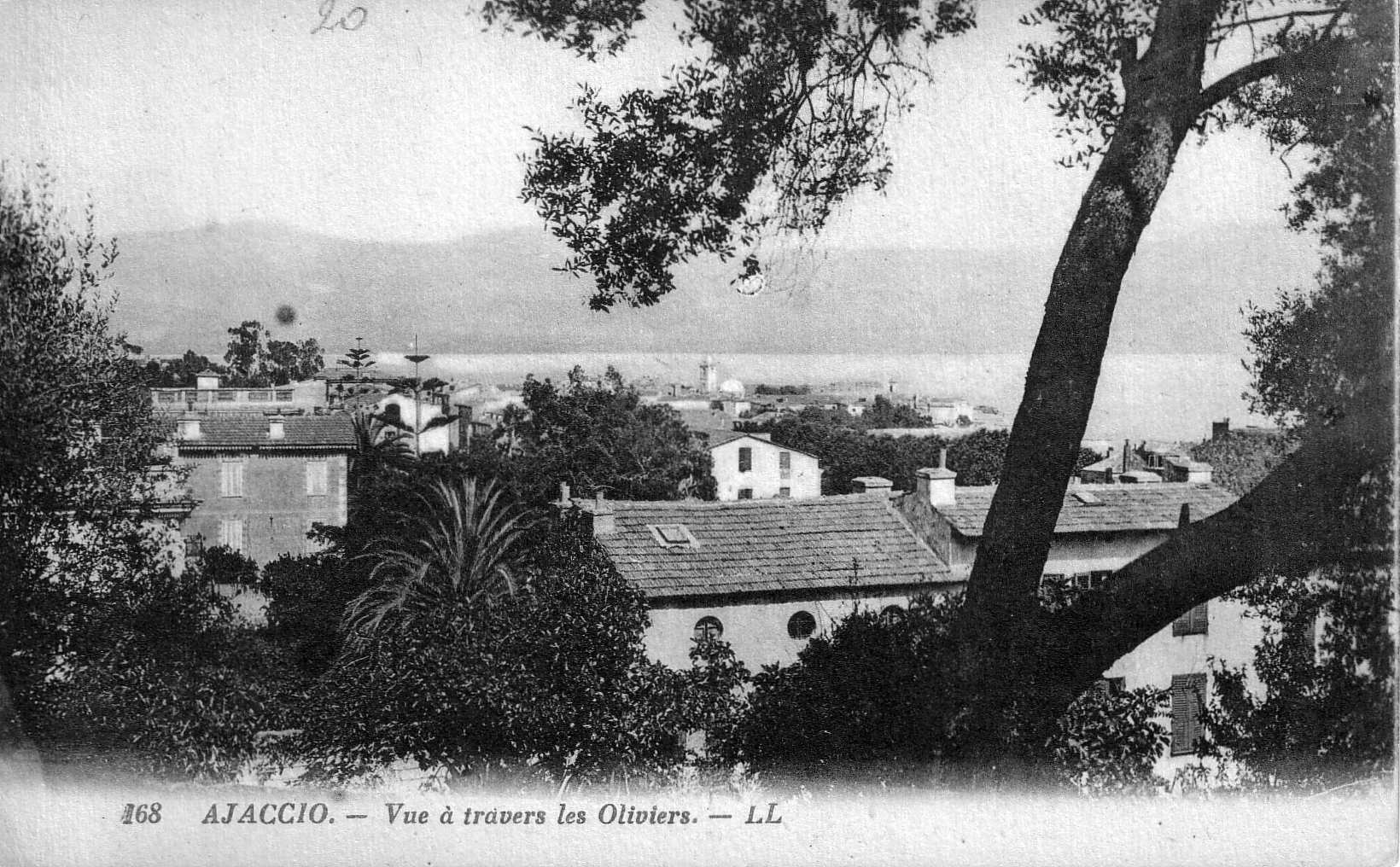 Picture France Corsica Old Postcards 1900-01 337 - Around Old Postcards