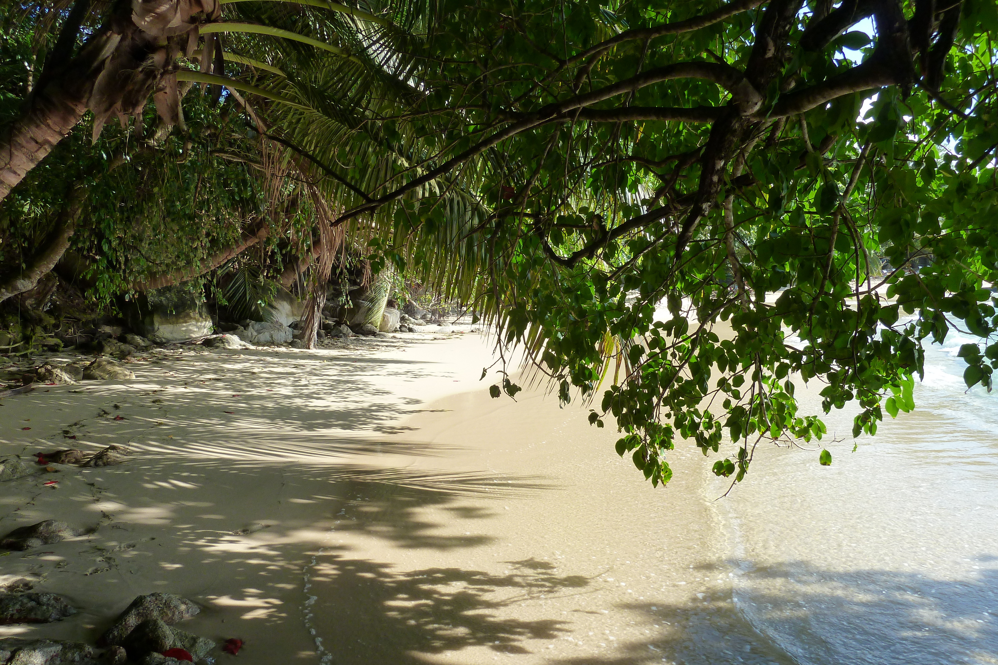 Picture Seychelles Mahe 2011-10 219 - Recreation Mahe