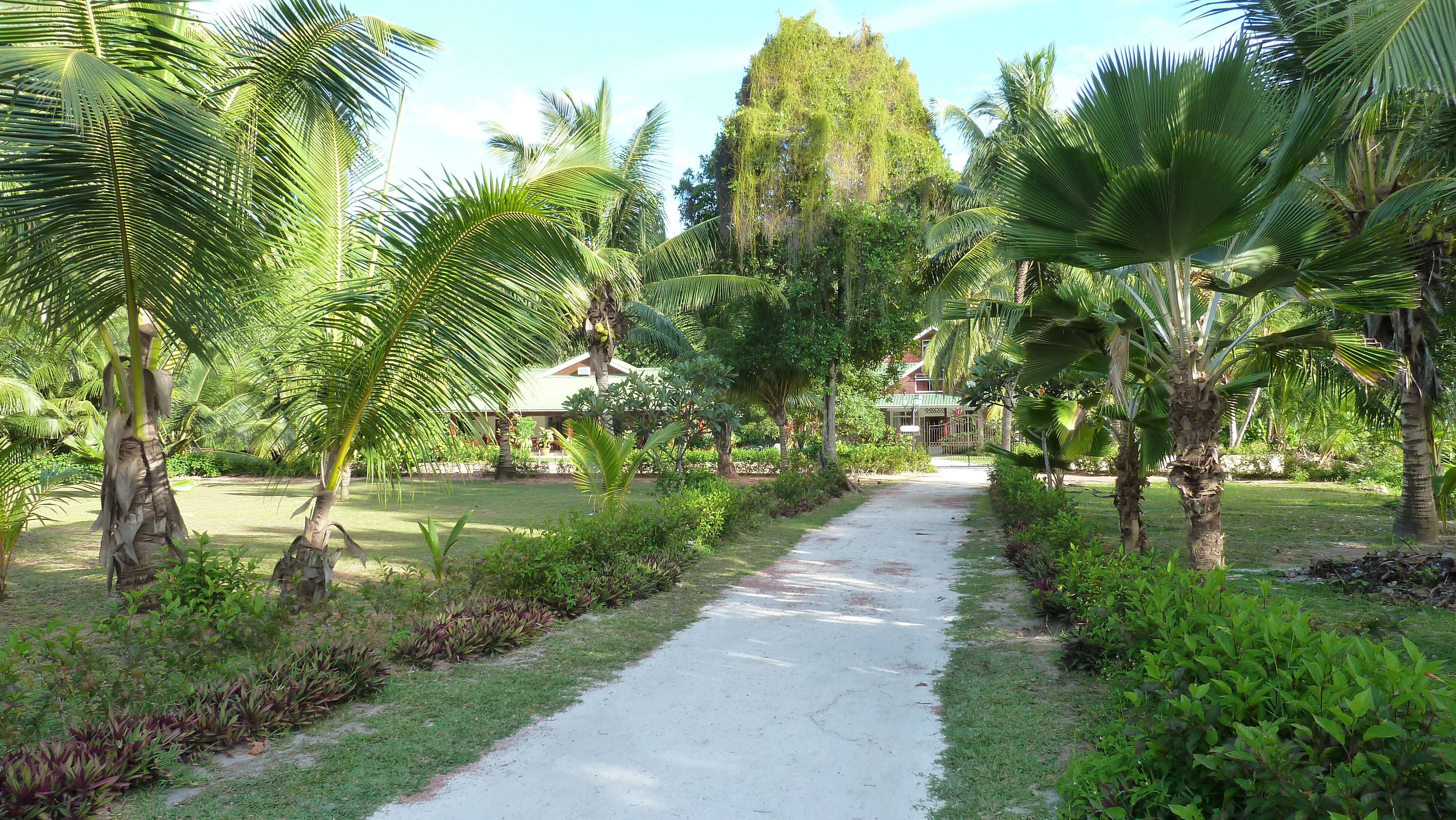 Picture Seychelles Anse Lazio 2011-10 40 - Center Anse Lazio