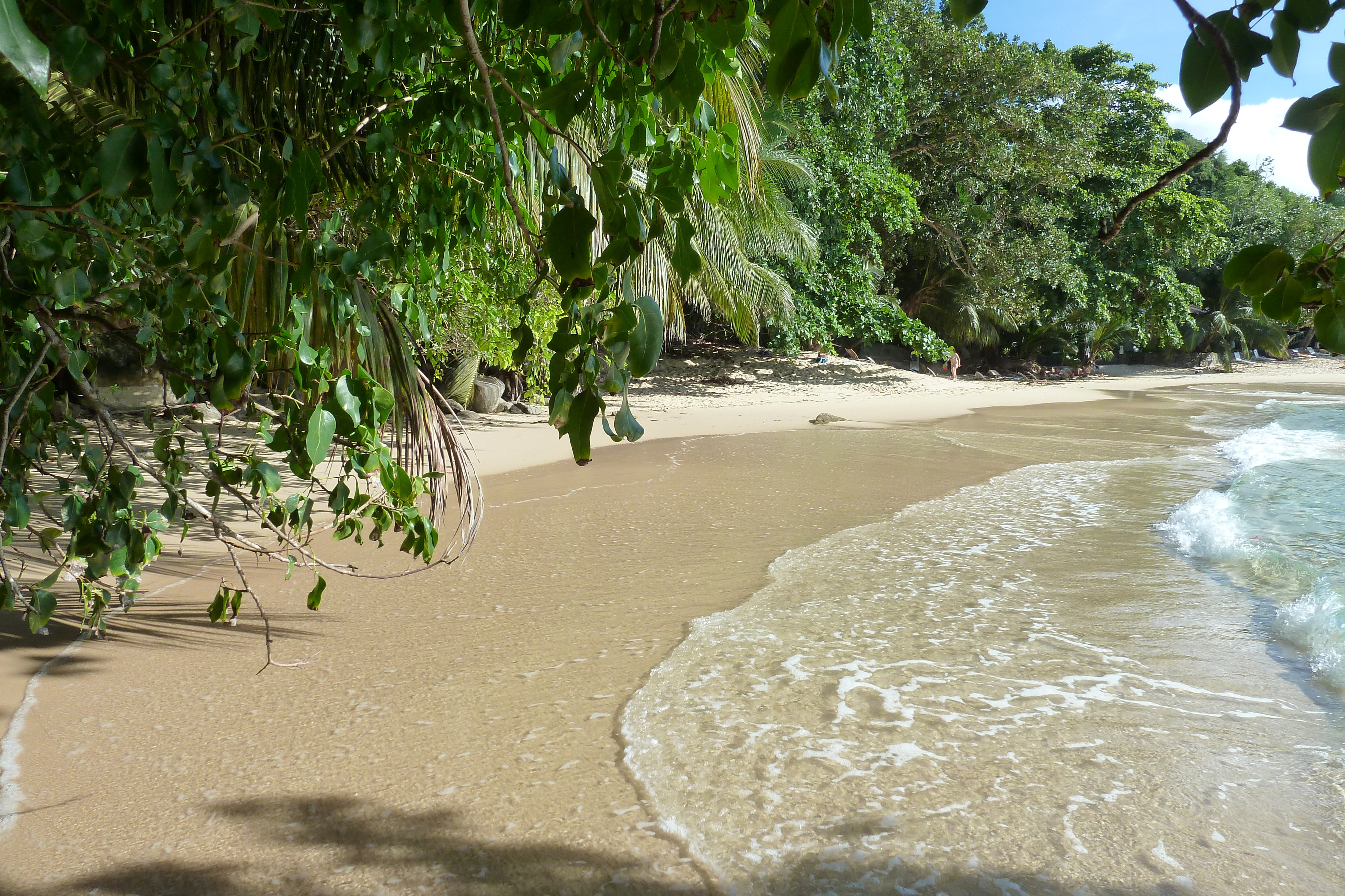 Picture Seychelles Mahe 2011-10 239 - Discovery Mahe