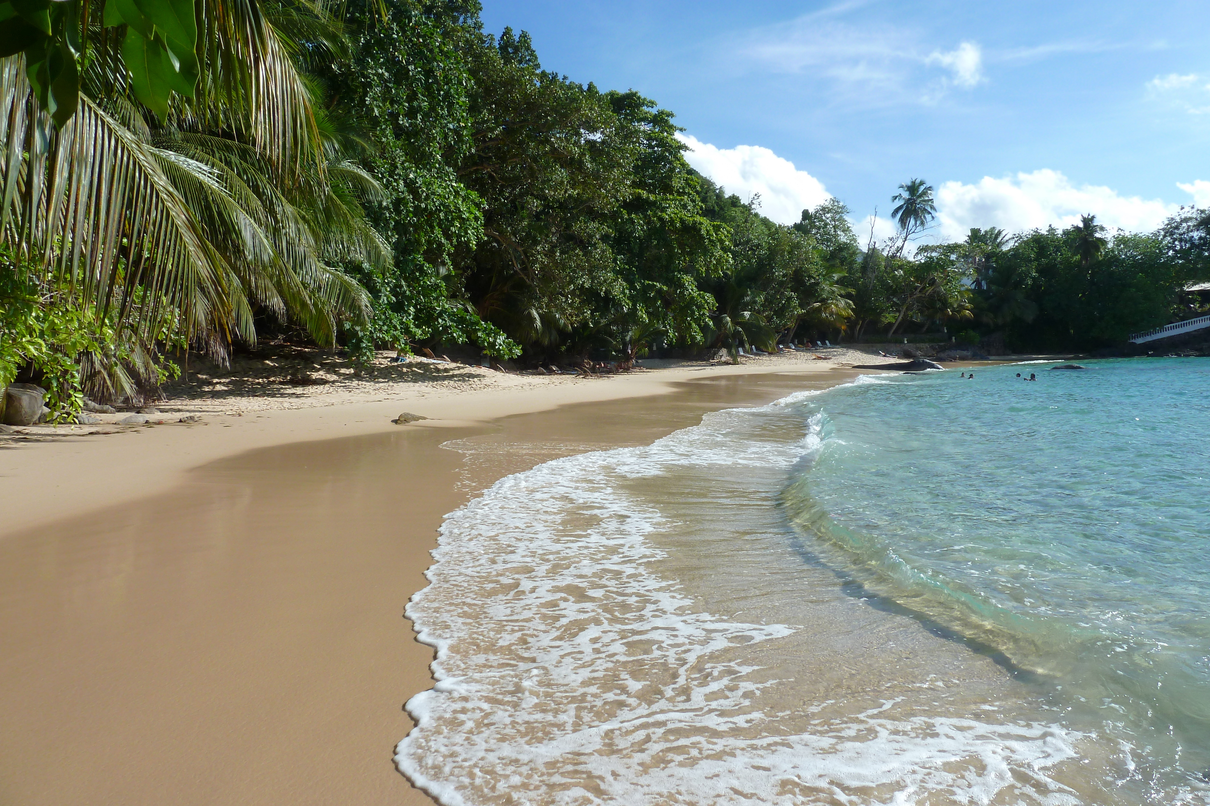 Picture Seychelles Mahe 2011-10 225 - Tour Mahe