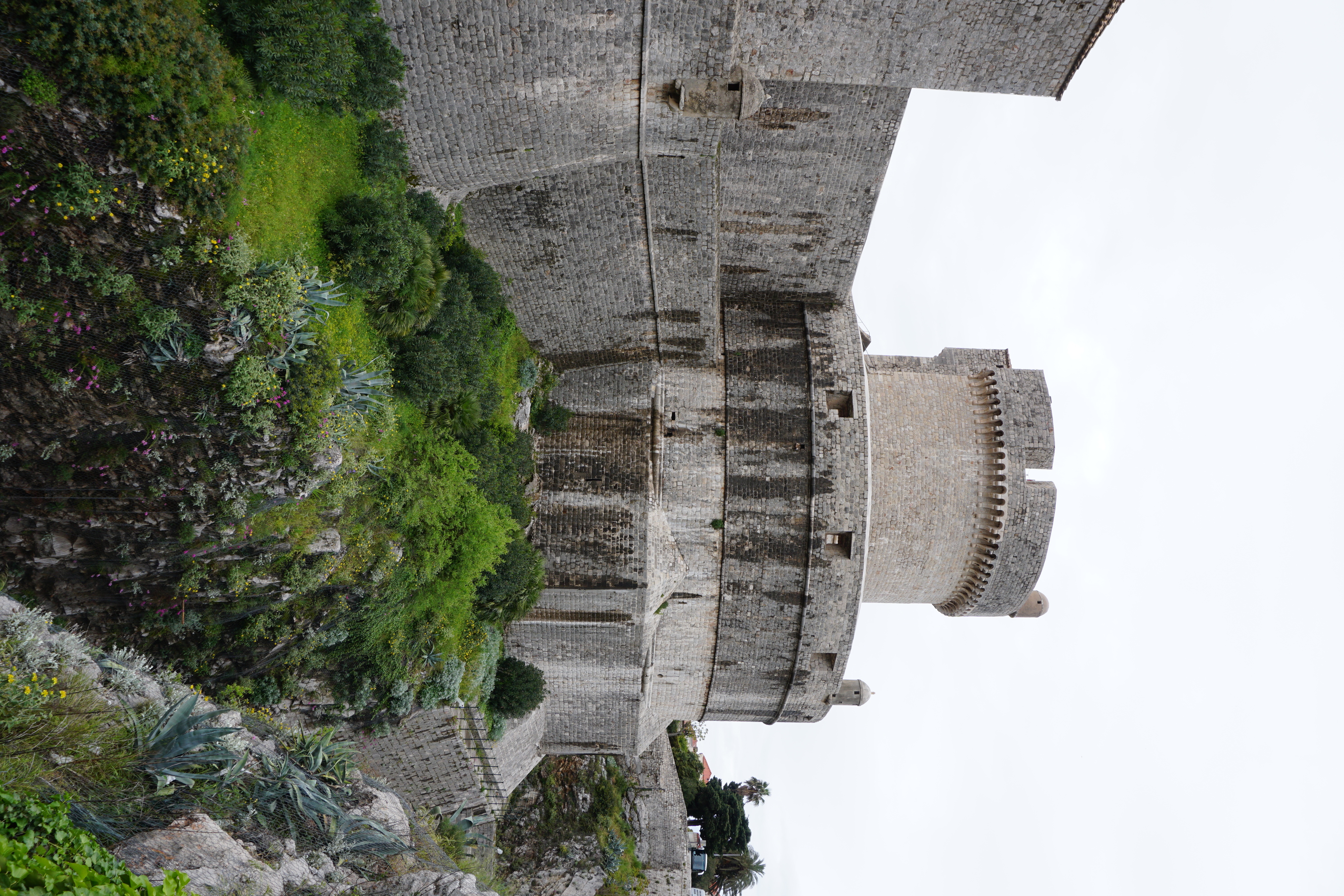 Picture Croatia Dubrovnik 2016-04 242 - Center Dubrovnik