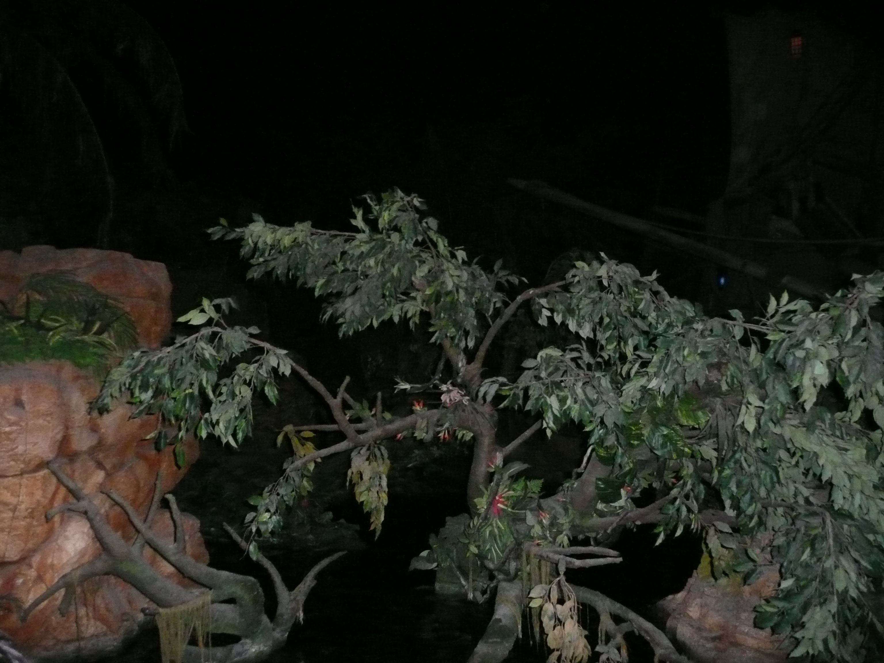 Picture France Disneyland Paris Pirates of the caribbean 2007-07 49 - Tour Pirates of the caribbean